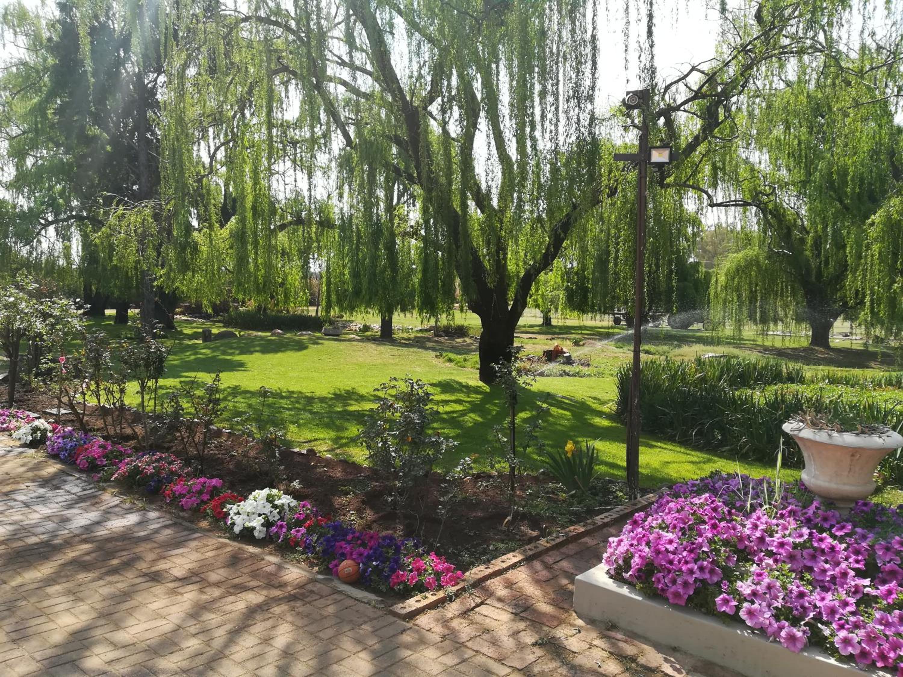 Photo 18