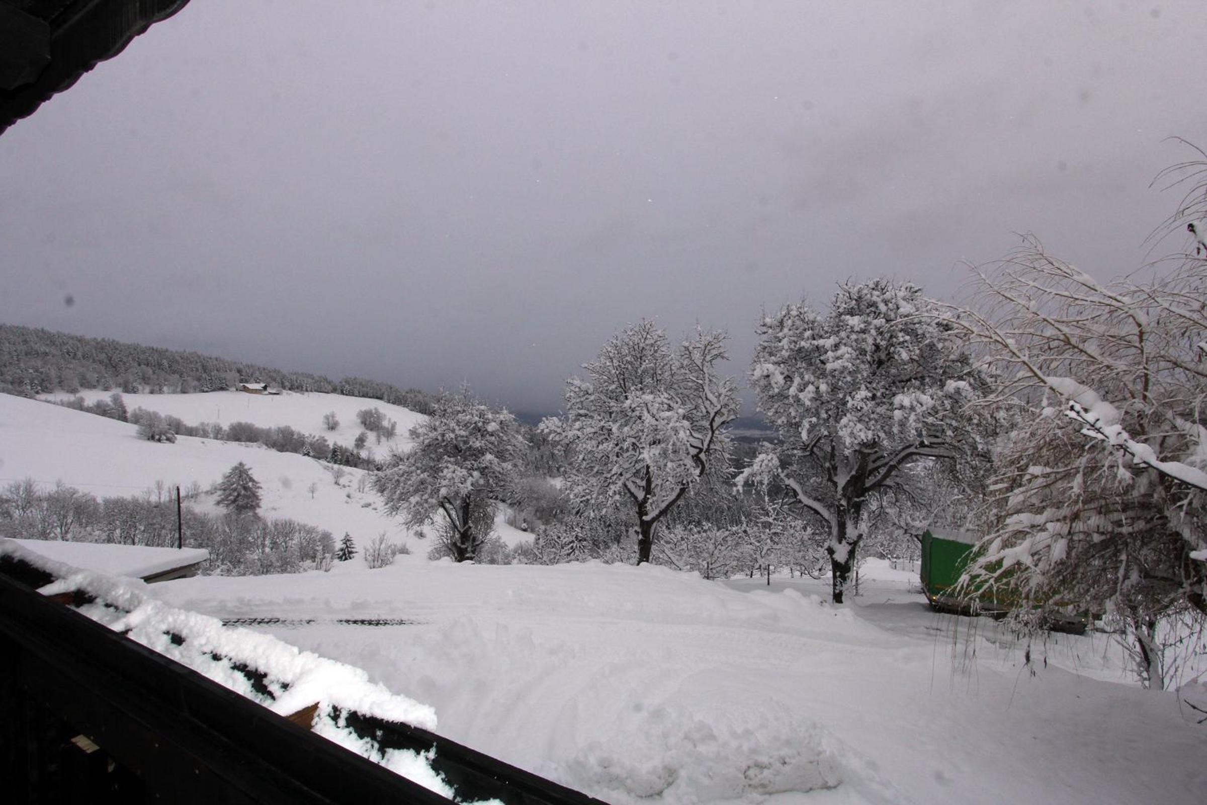 Tourist farm Gričnik view 5