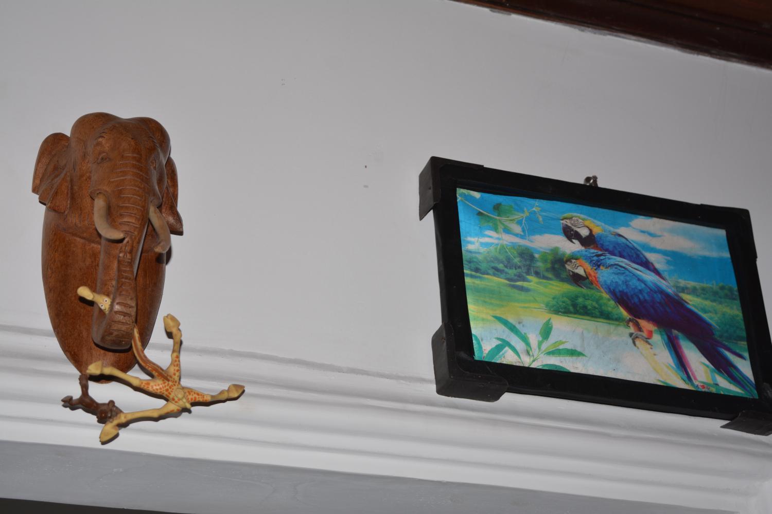 Photo 6