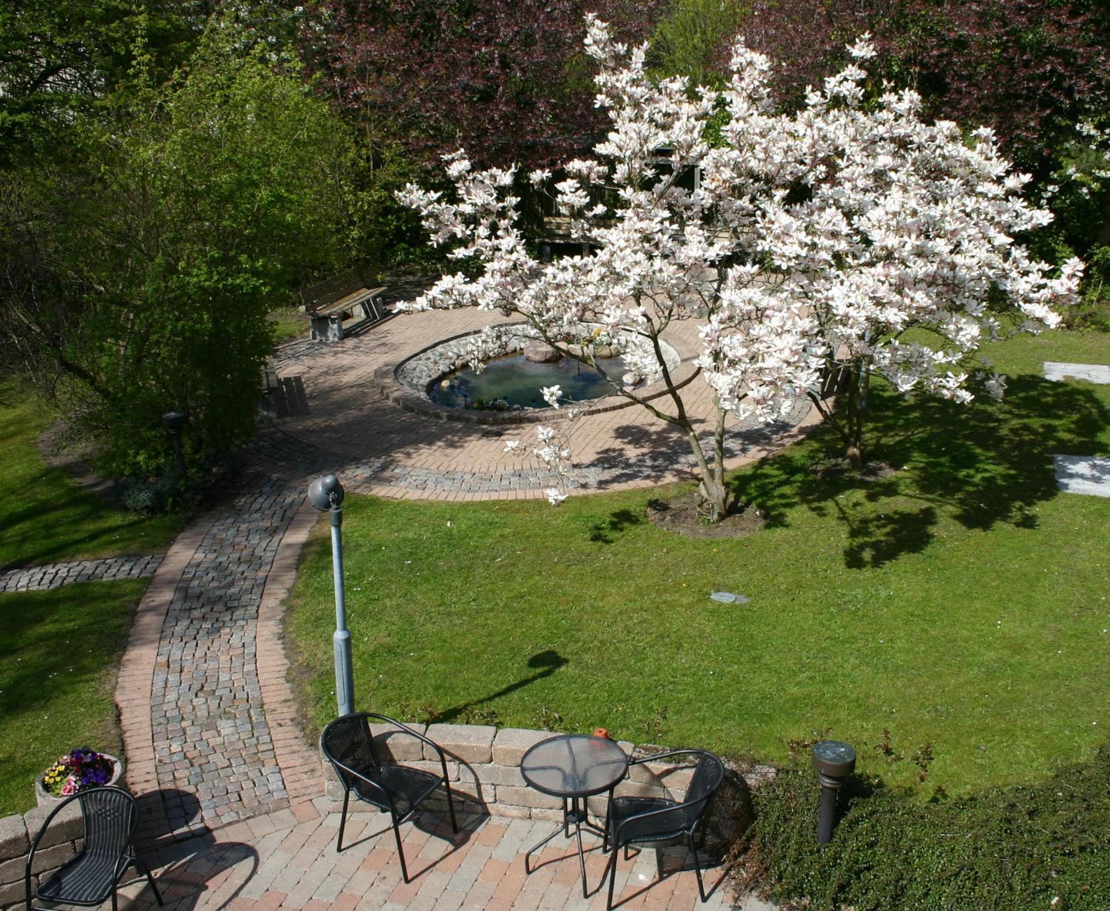 Photo 6