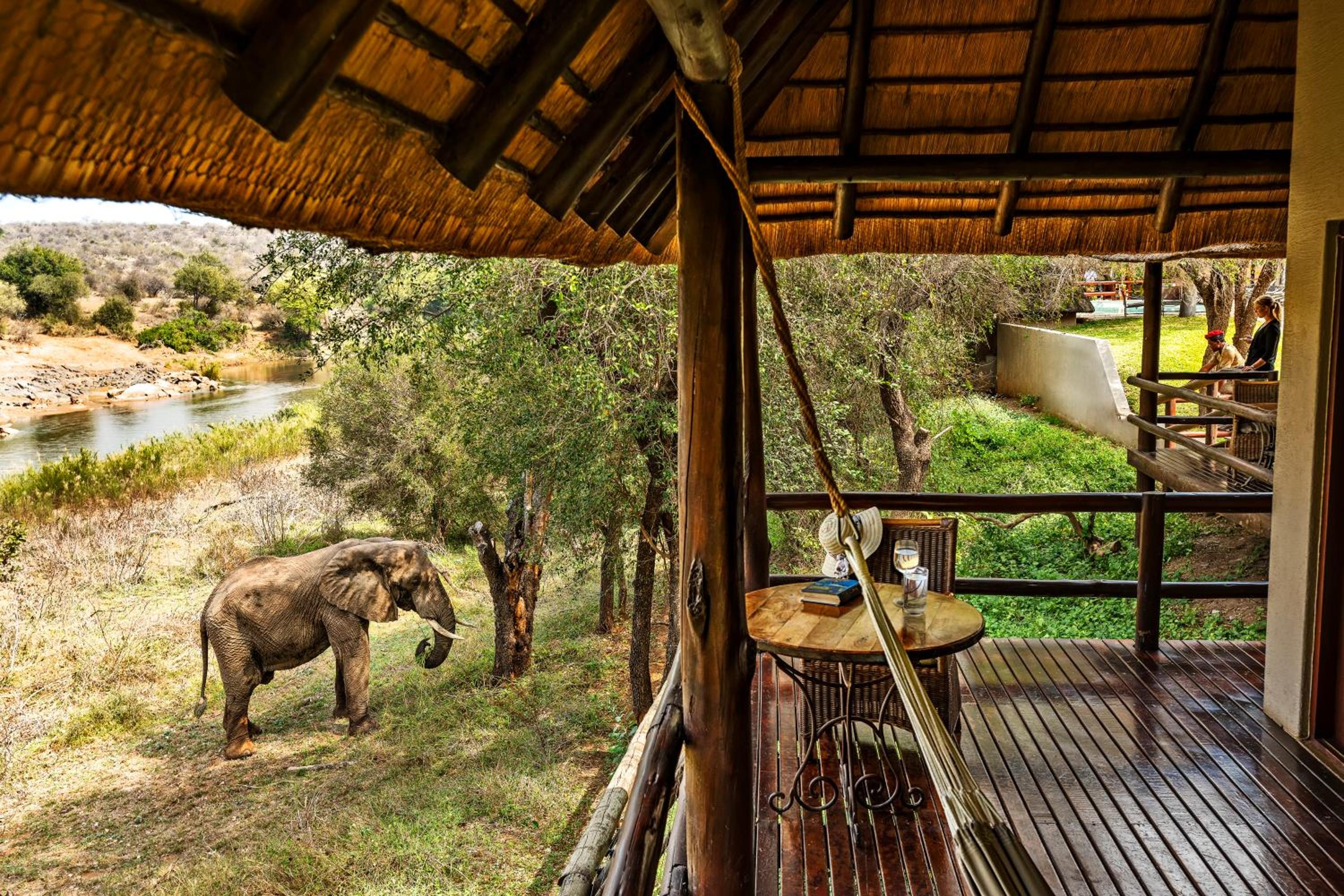 Nyati Safari Lodge