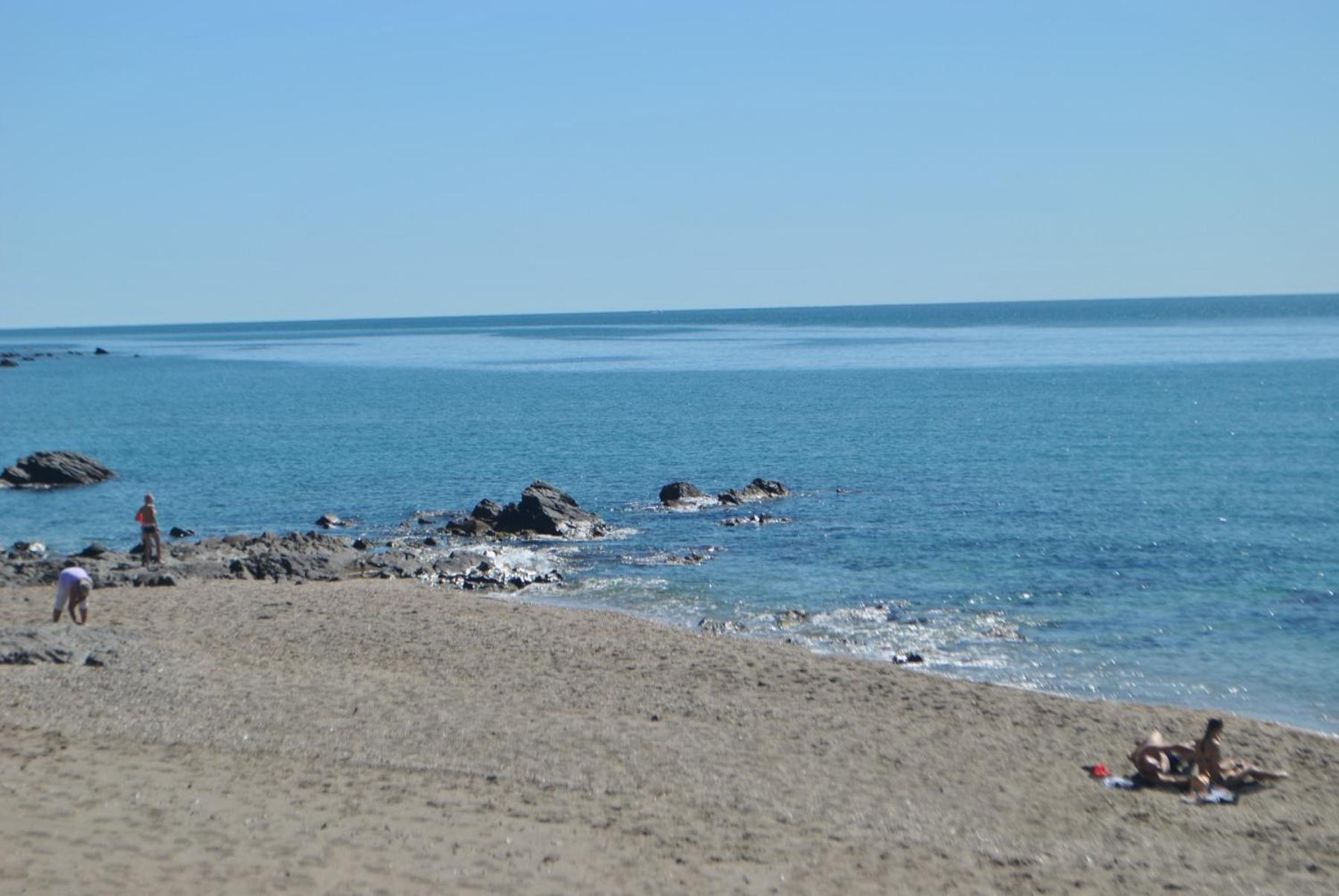 Photo 44