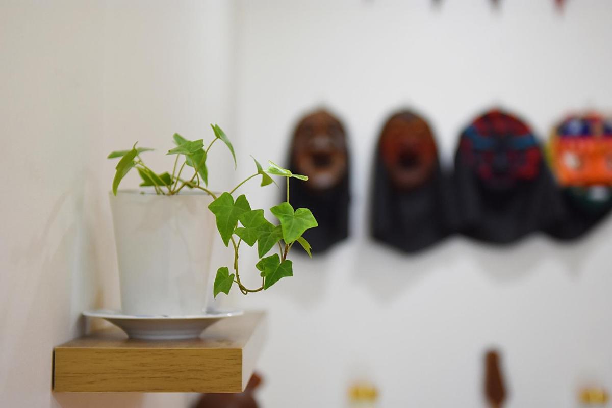 Ganderak Guesthouse
