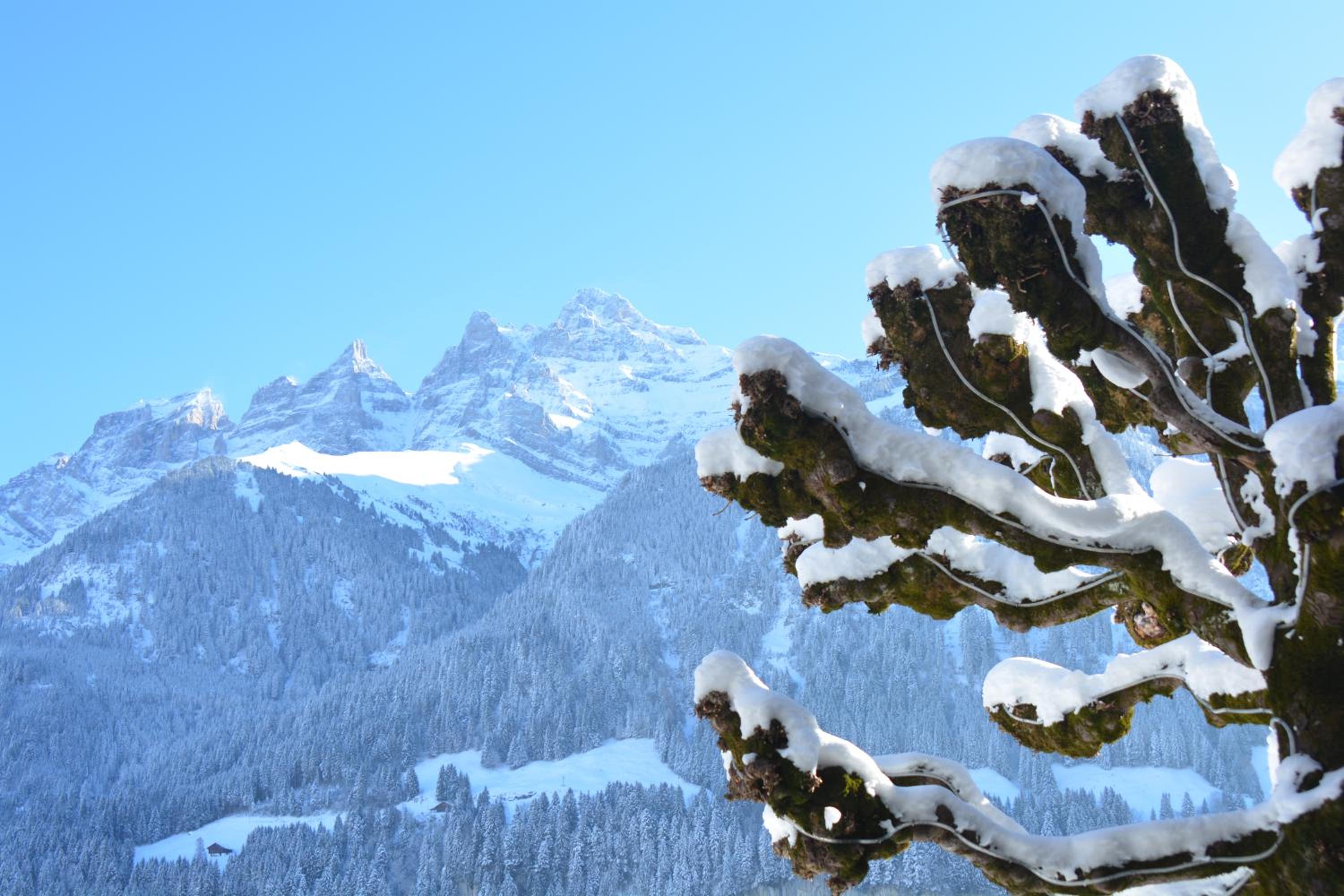 Apartment Champéry Grand Pré A