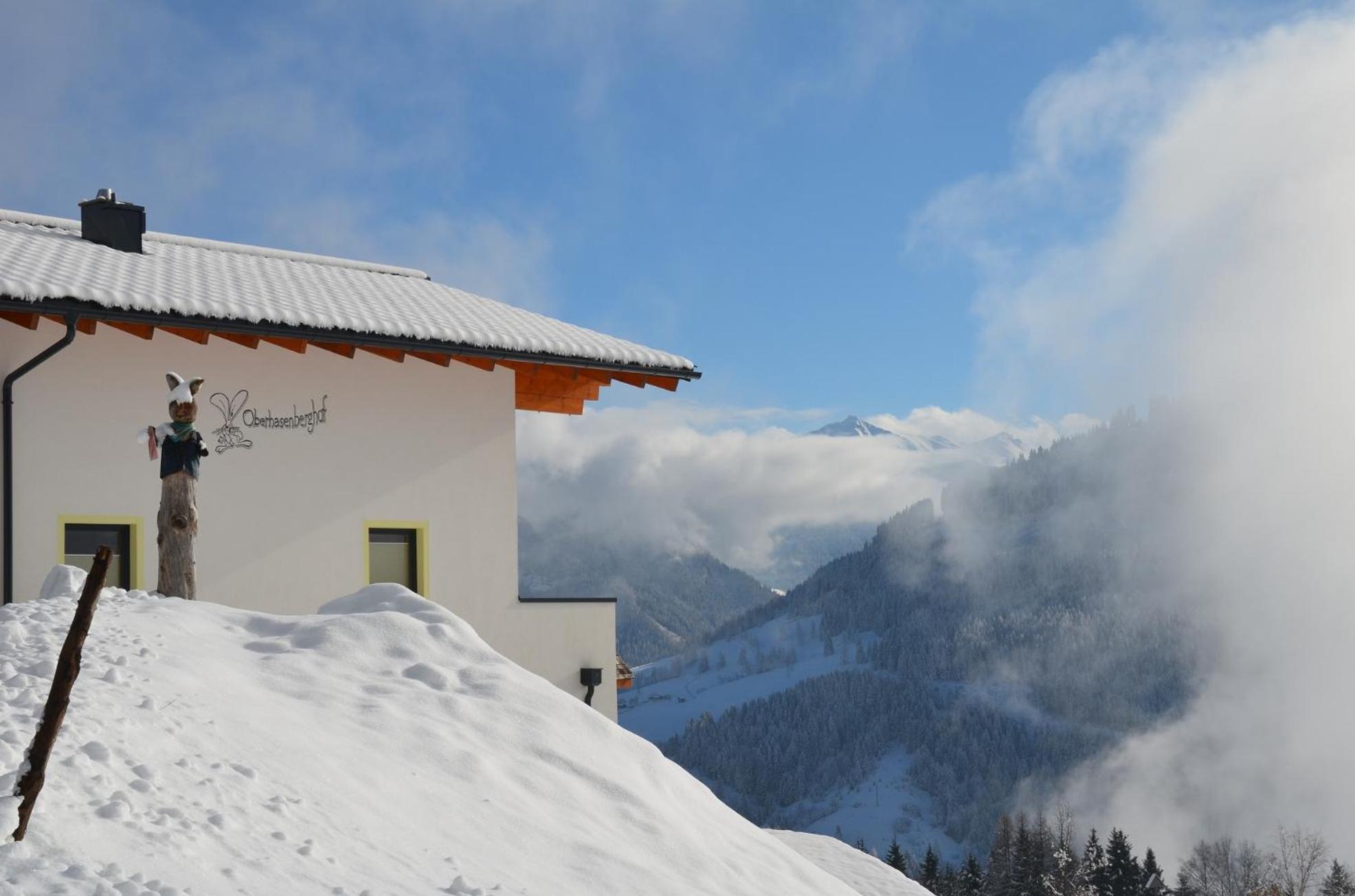 Bergbauernhof Familienparadies Oberhasenberghof view 4
