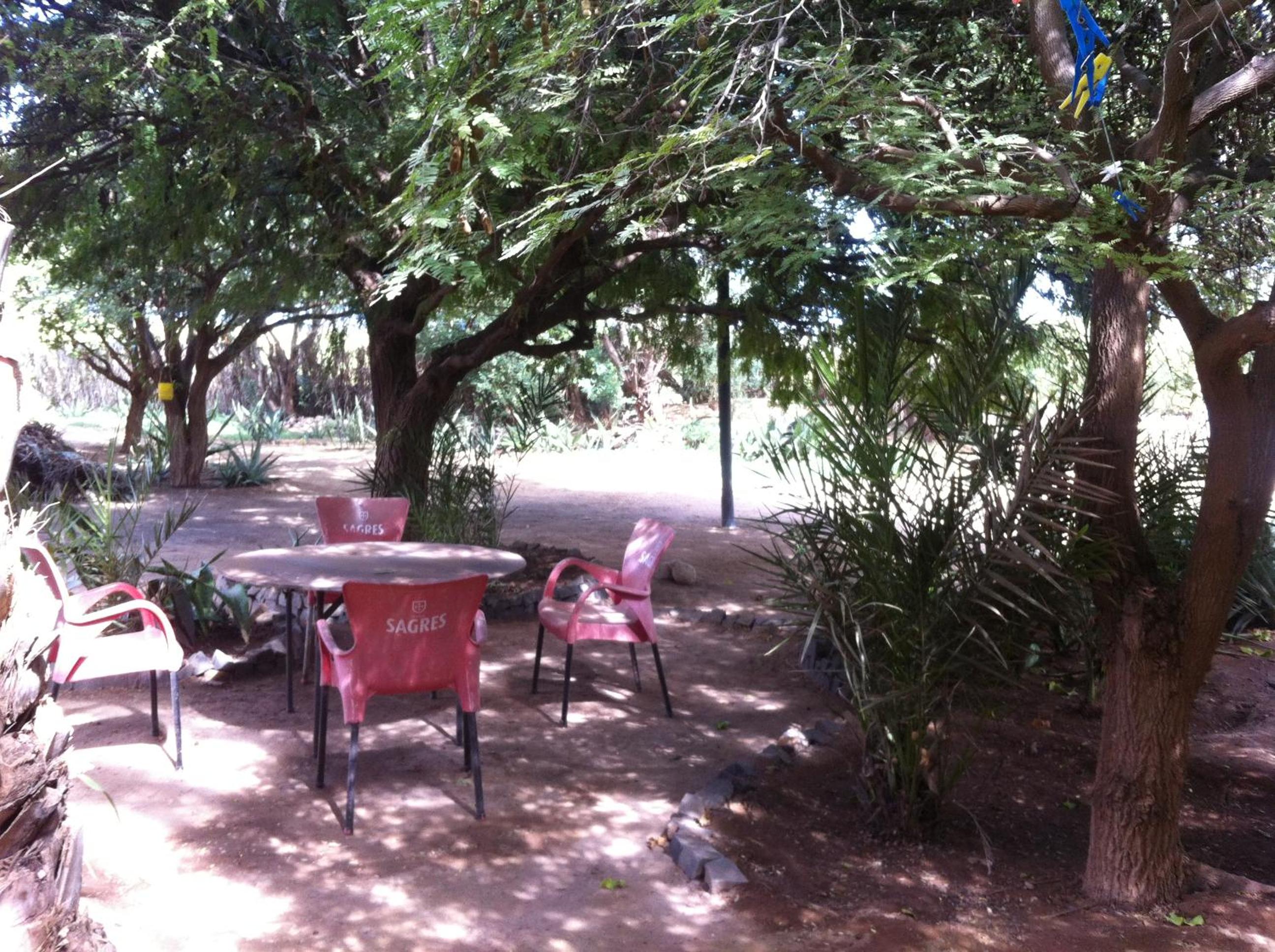 Photo 17