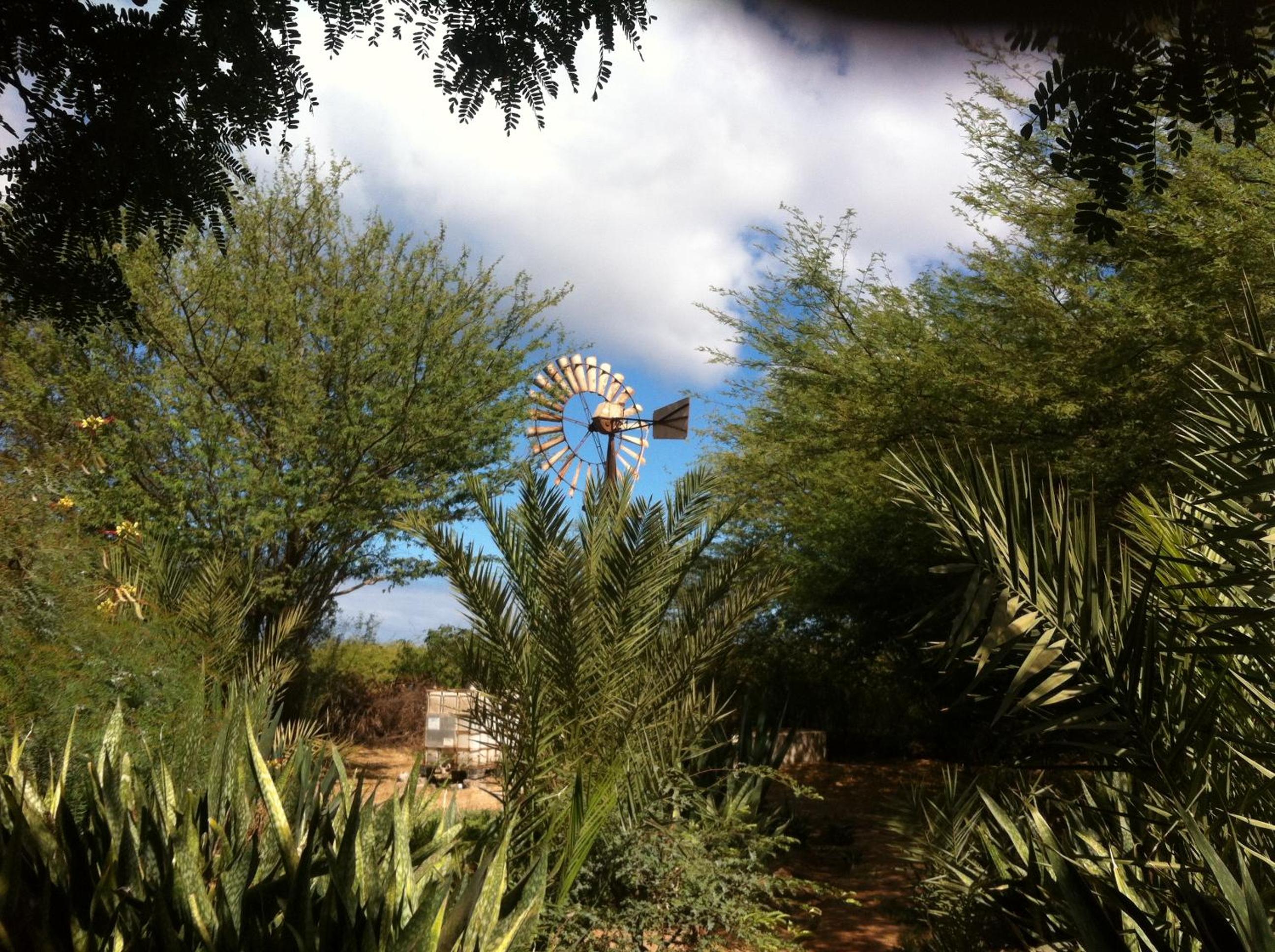 Photo 19