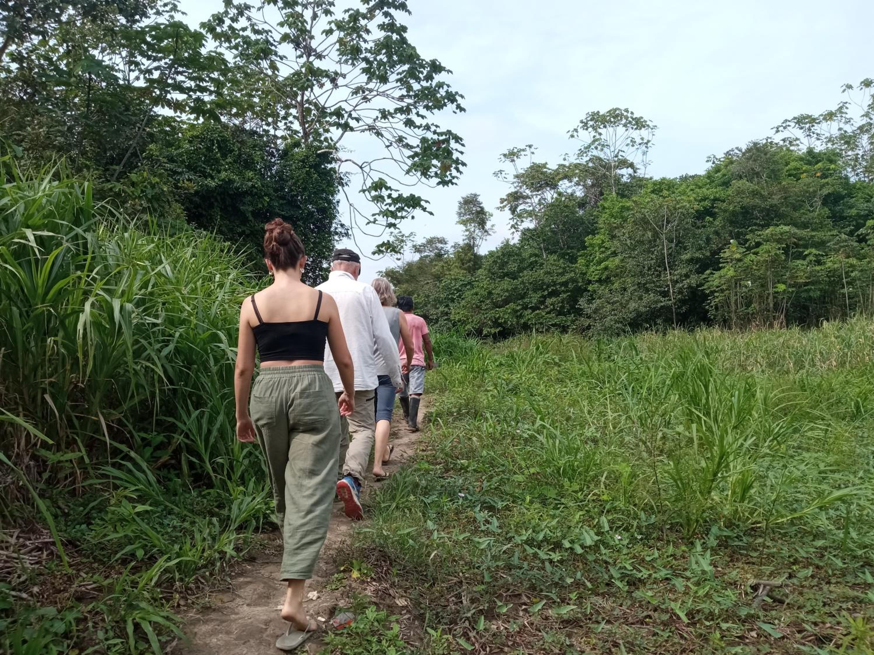 AyaturLodge