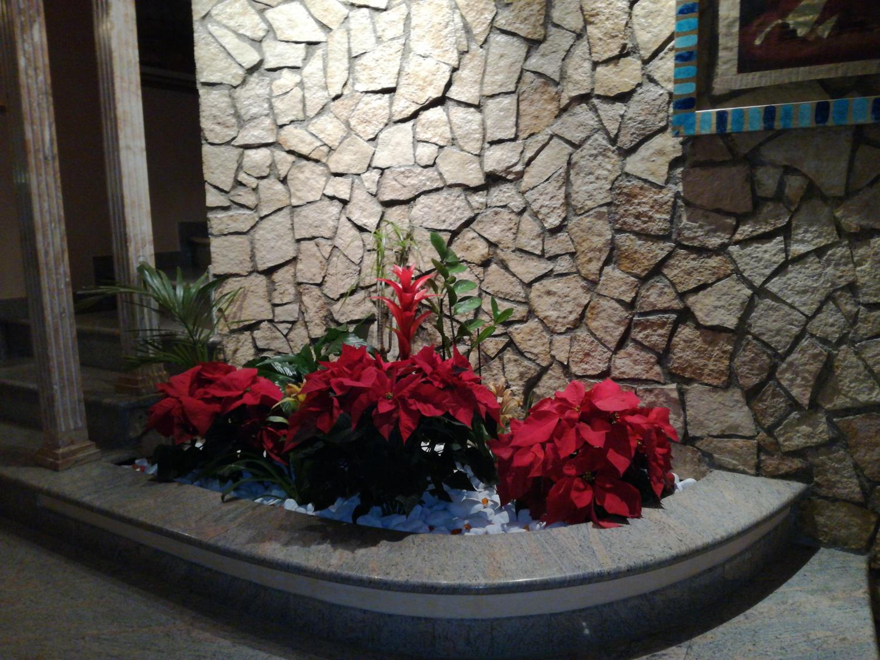 Photo 35
