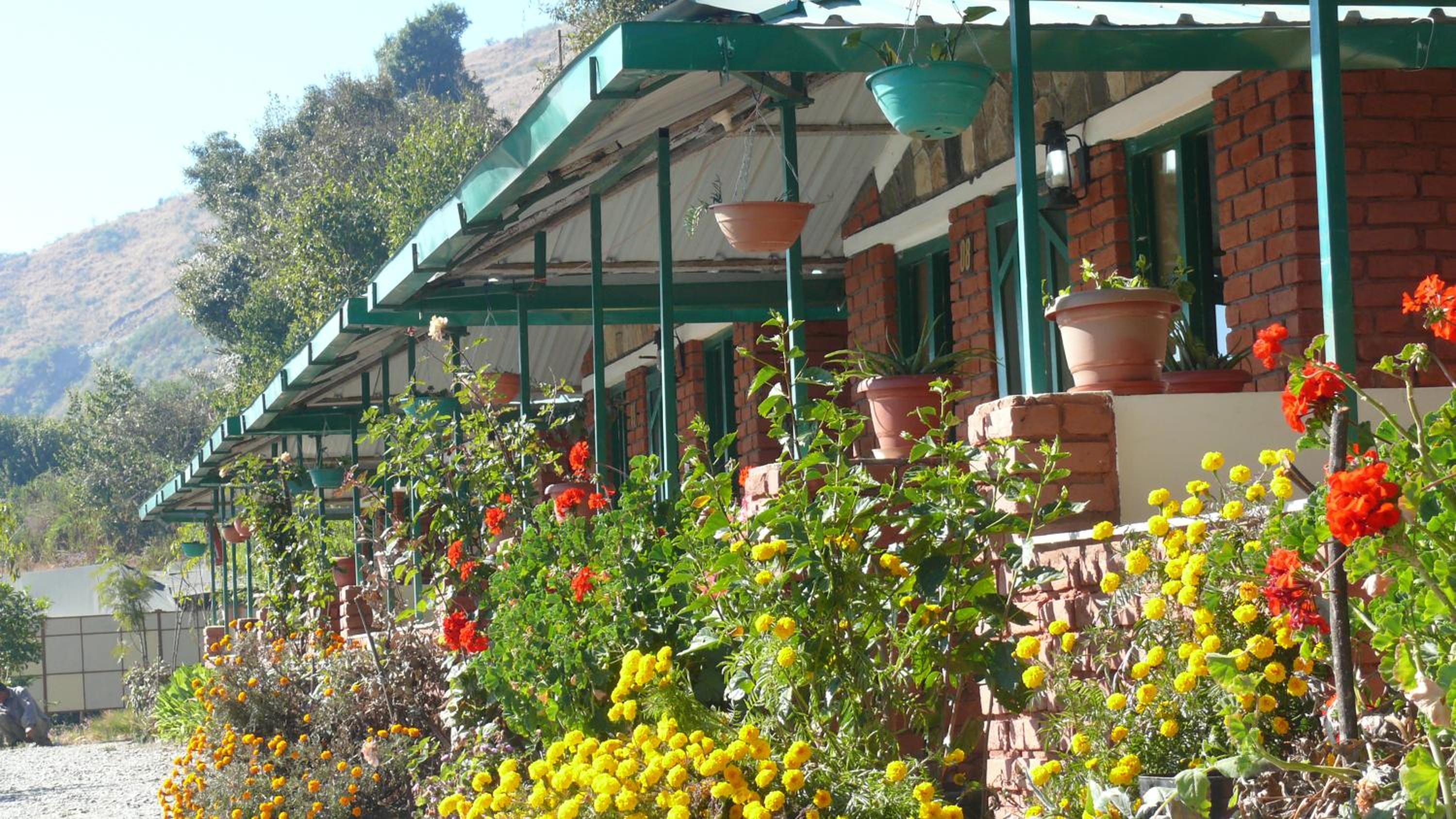 Room on the Roof, Viraatkhai-Chakrata, By Himalayan Eco Lodges view 5