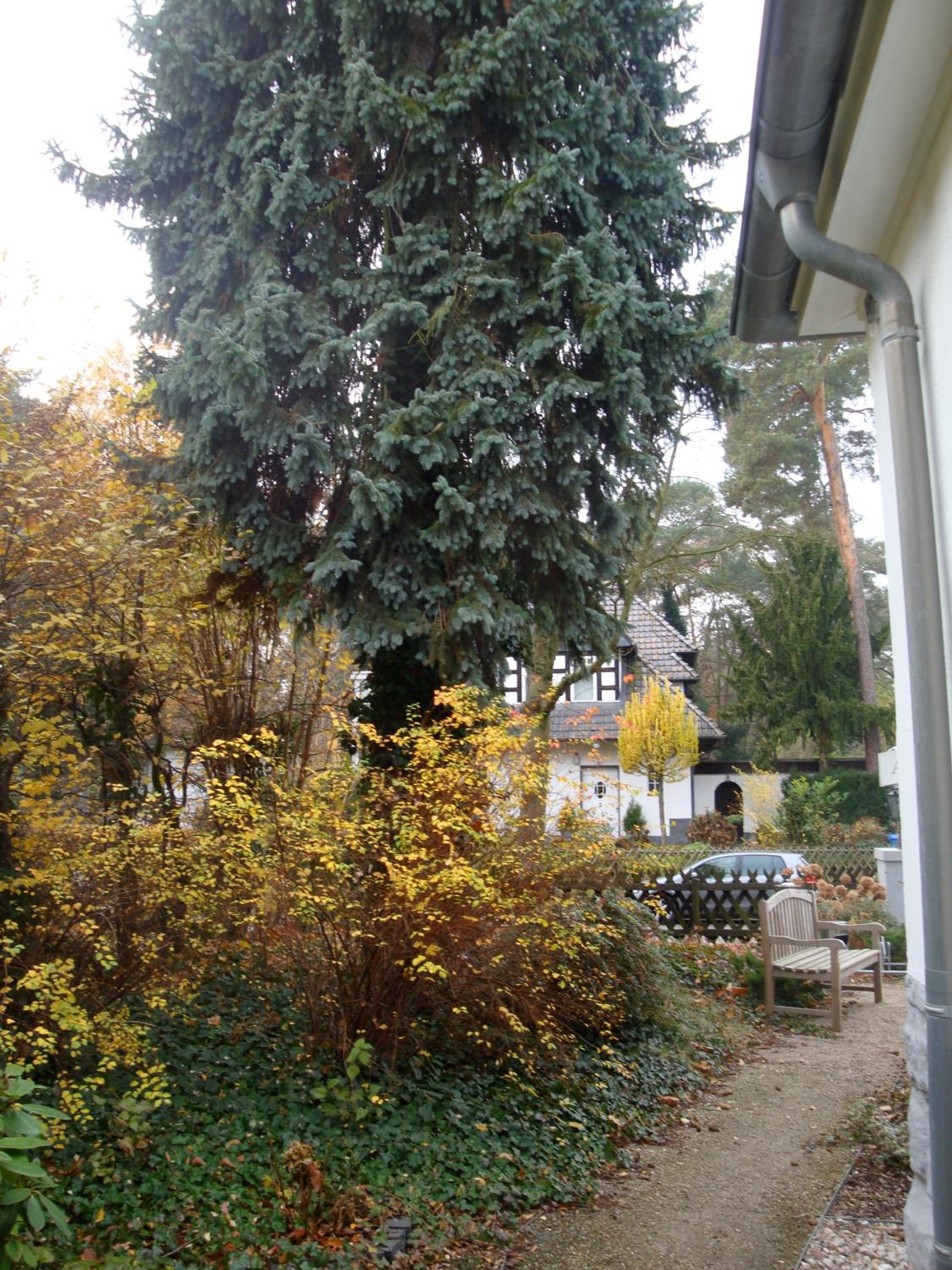 Hotel Landhaus Schlachtensee
