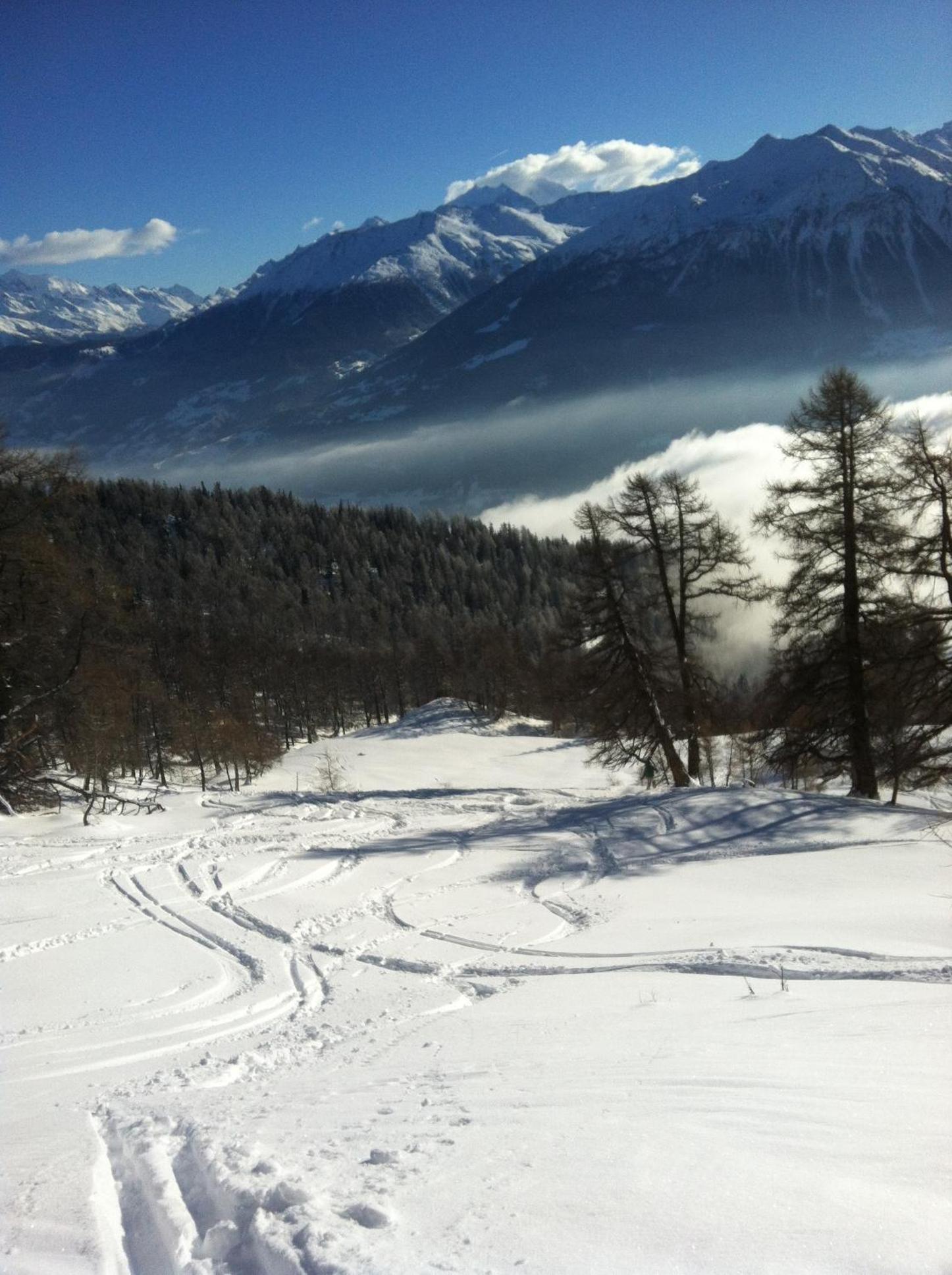 Alpenparadies