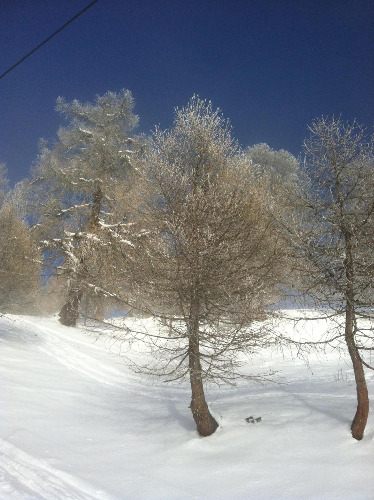 Alpenparadies