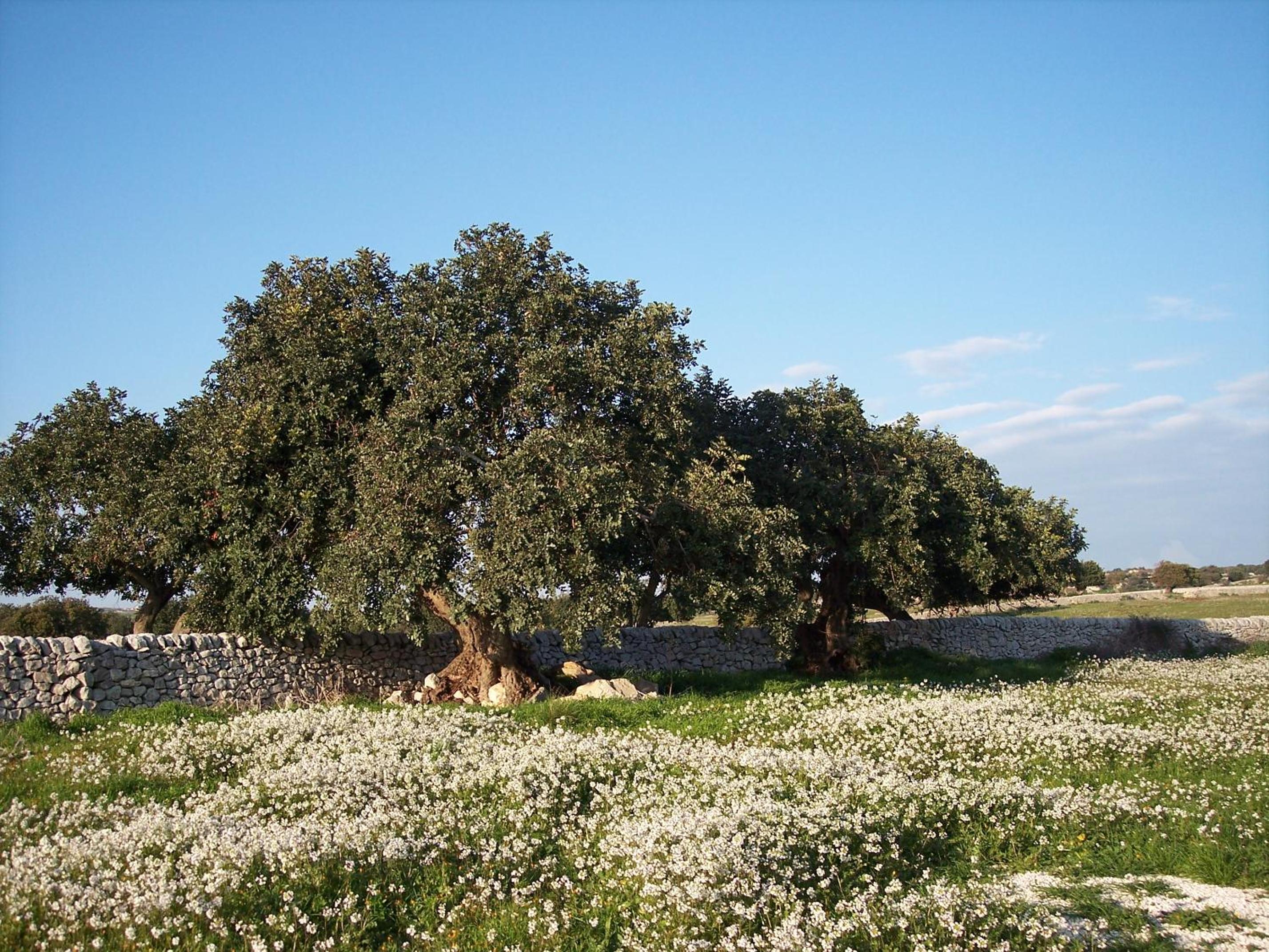 Photo 30