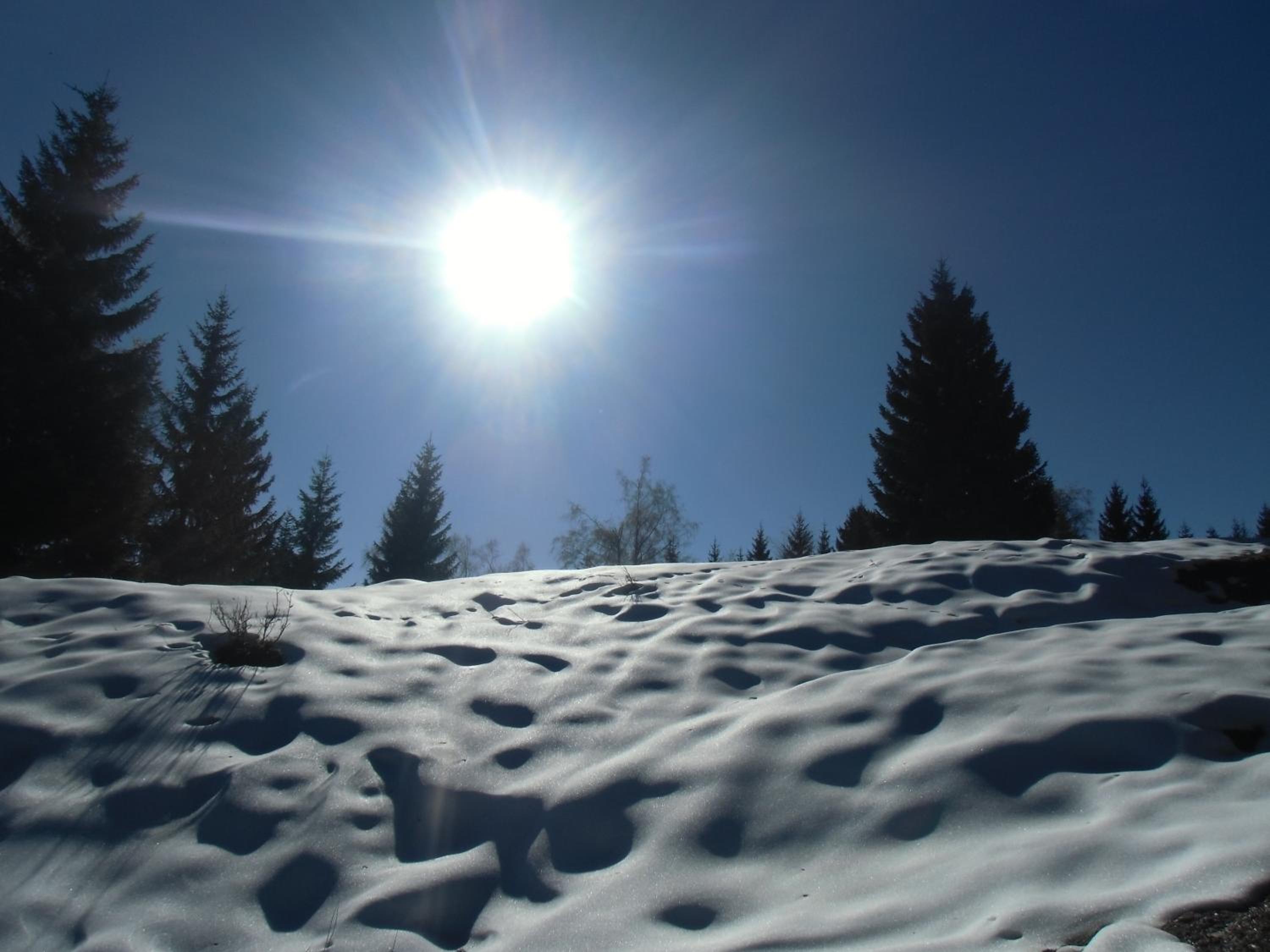 Sunnhof