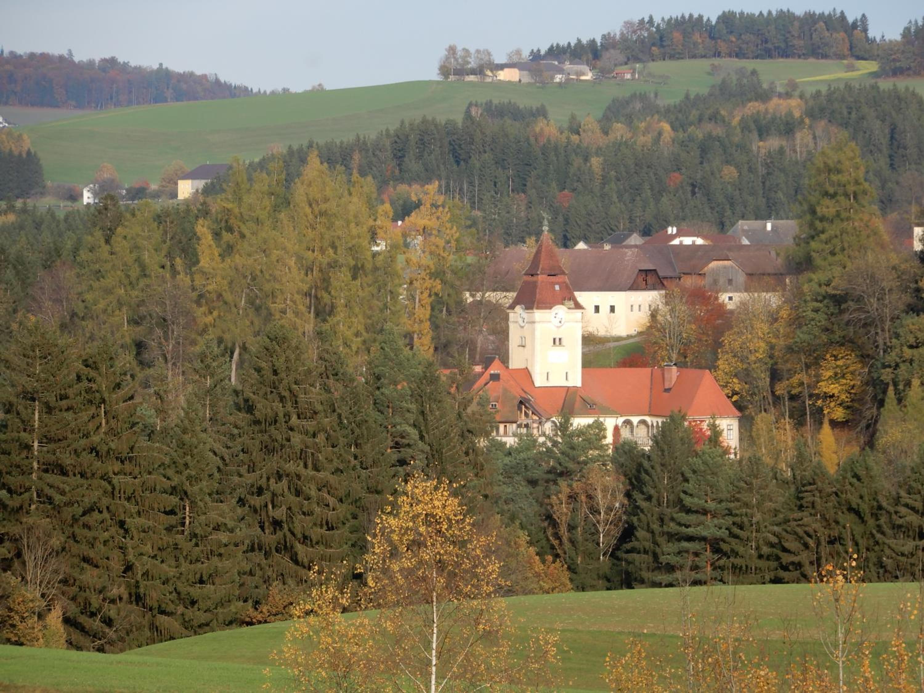 Photo 29
