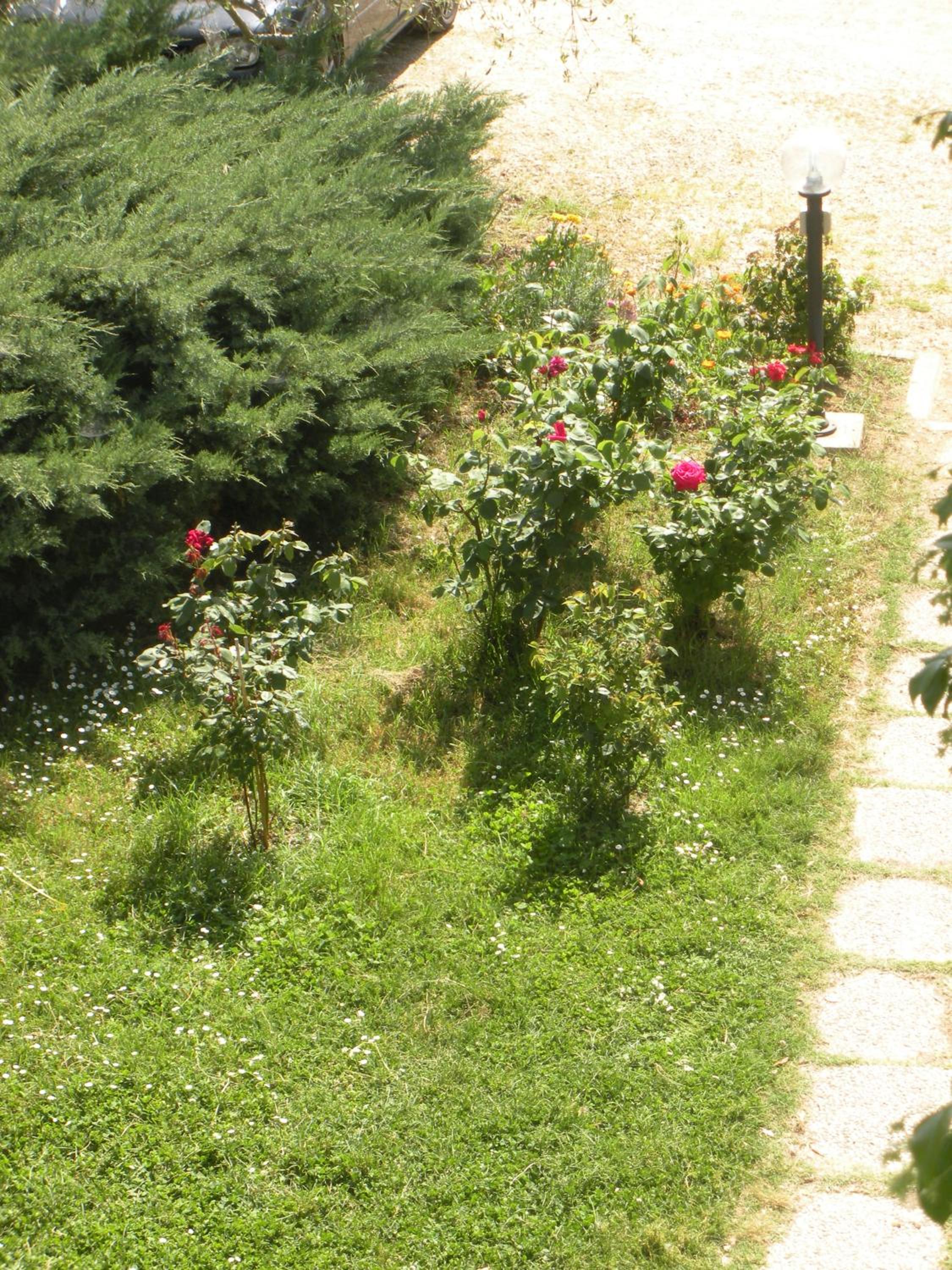 Agriturismo Le Rose