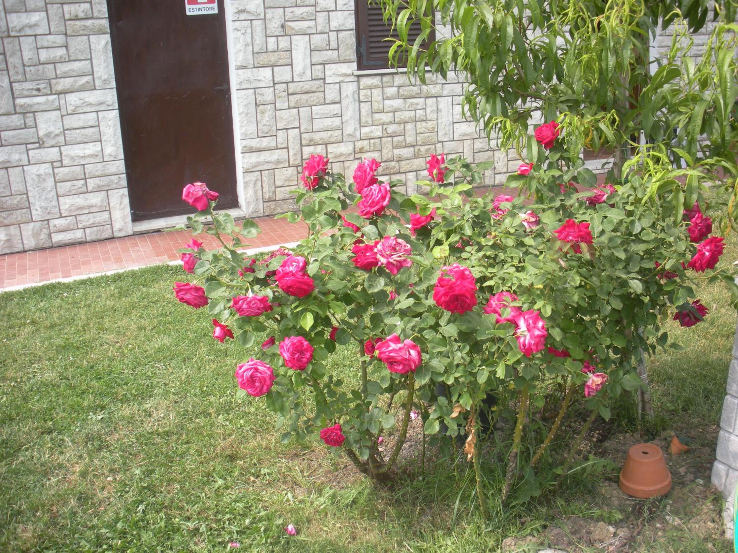 Agriturismo Le Rose