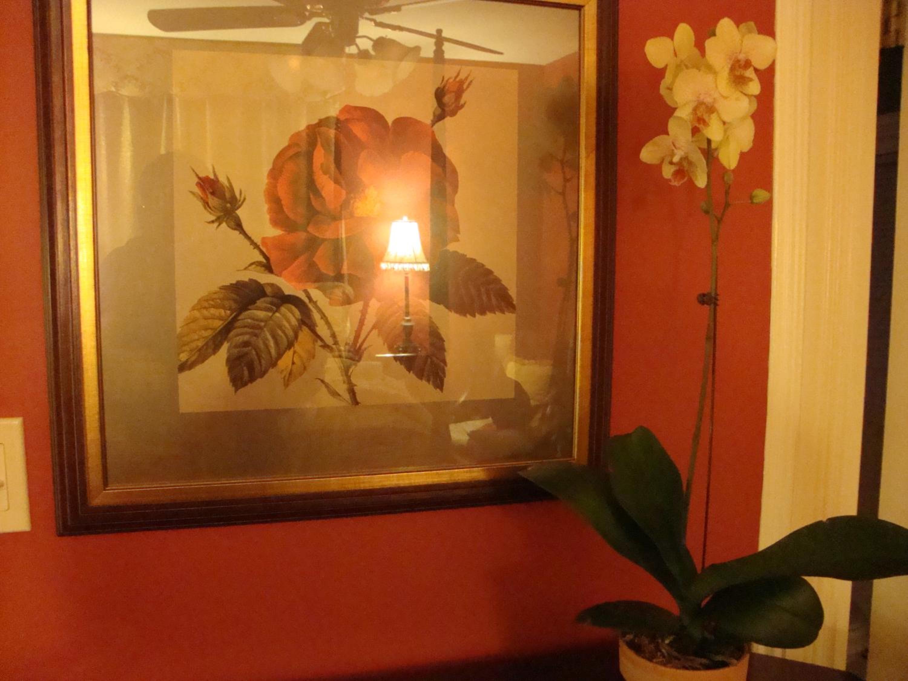 Arbor View House Bed and Breakfast