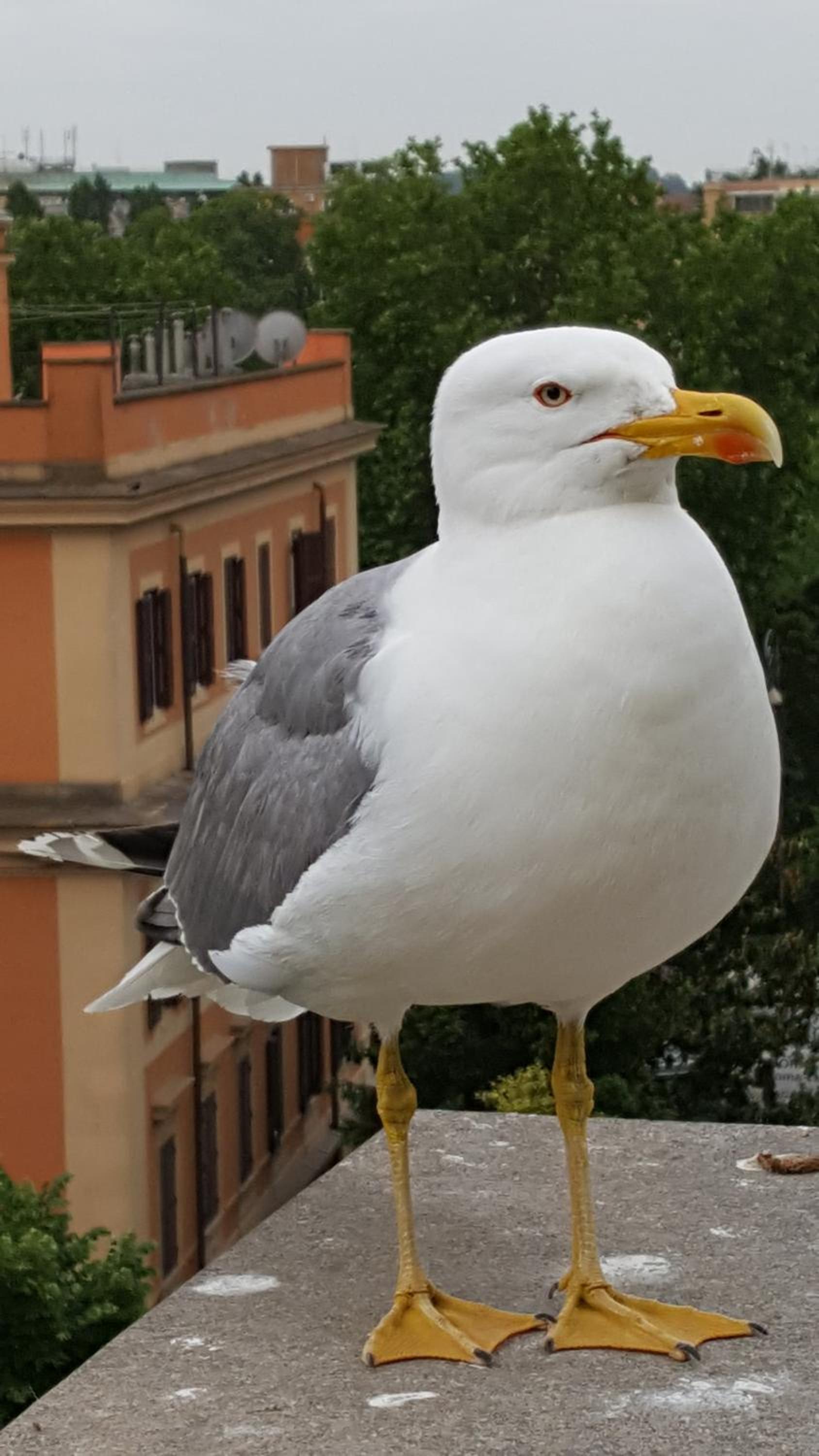 Bed & Breakfast A Casa di Lia a Roma