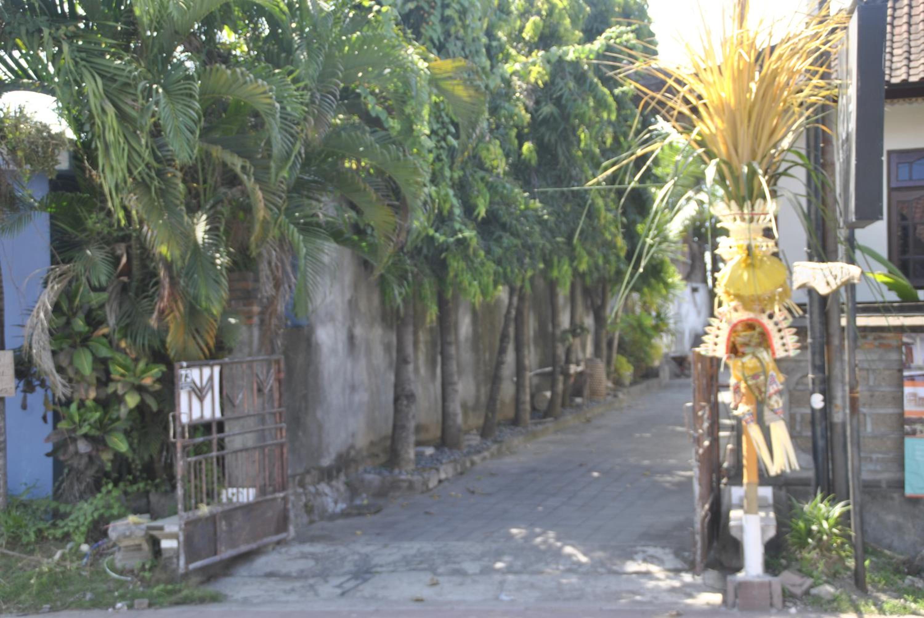 Photo 28
