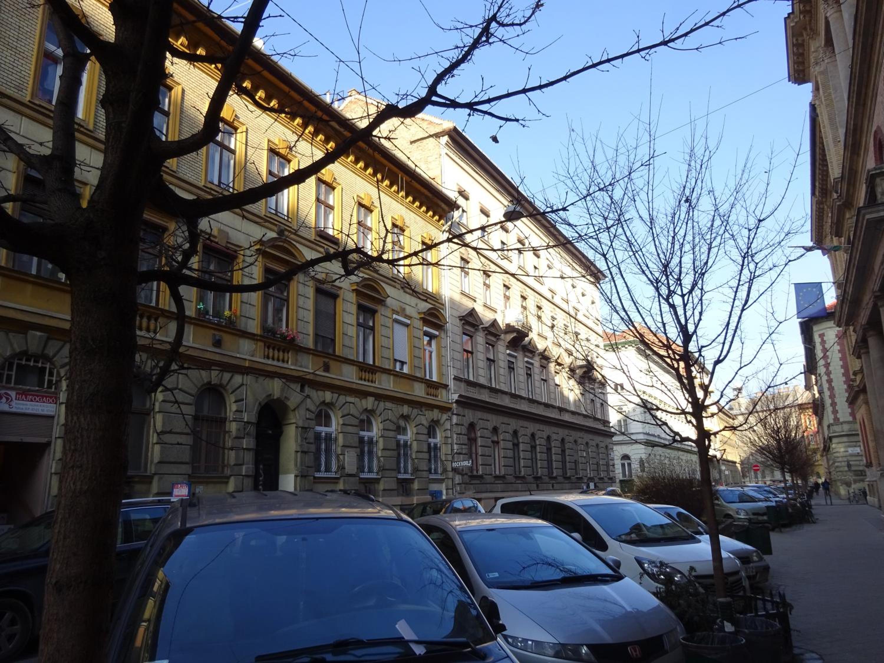 Photo 42