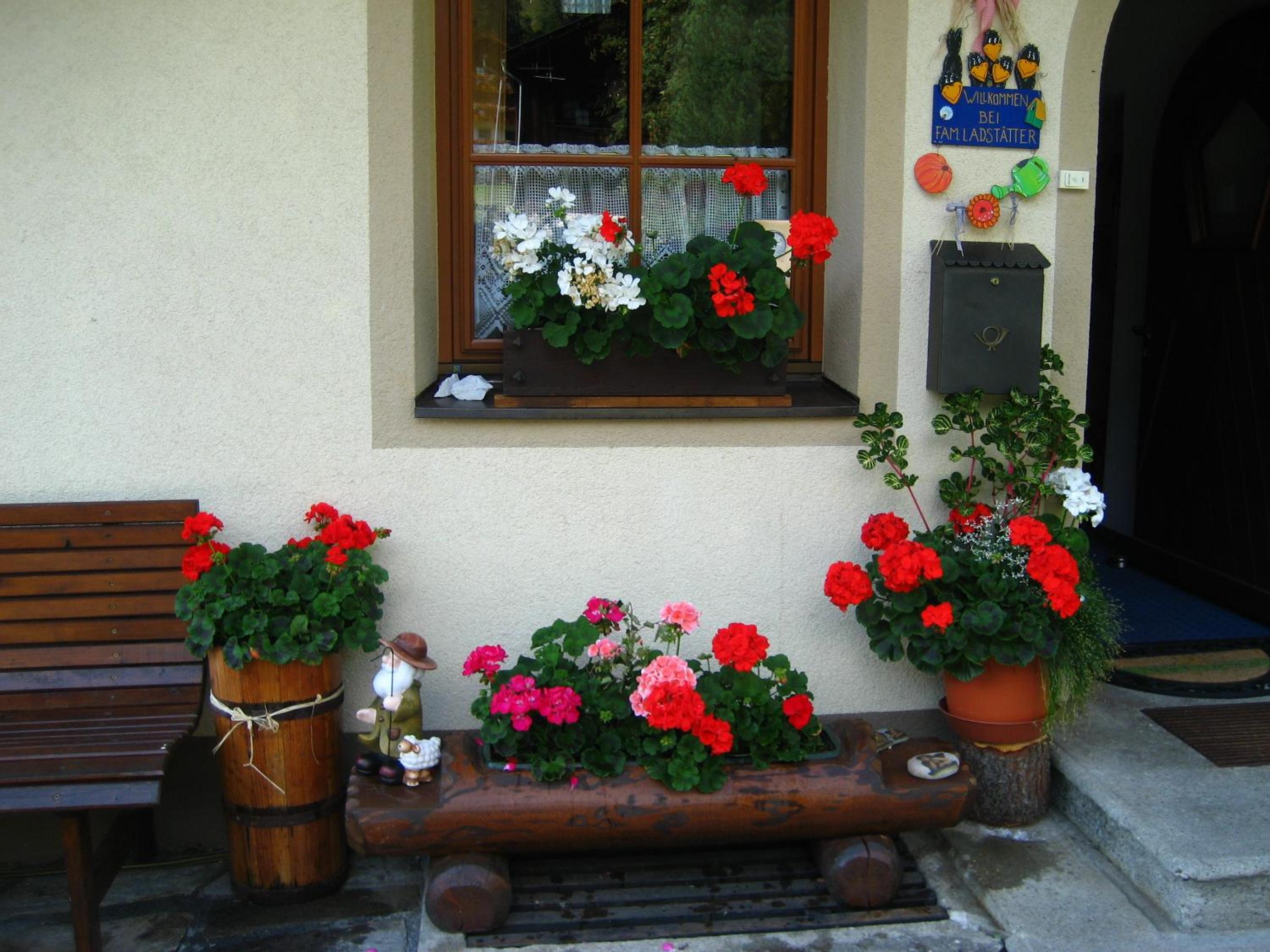Haus Arnika