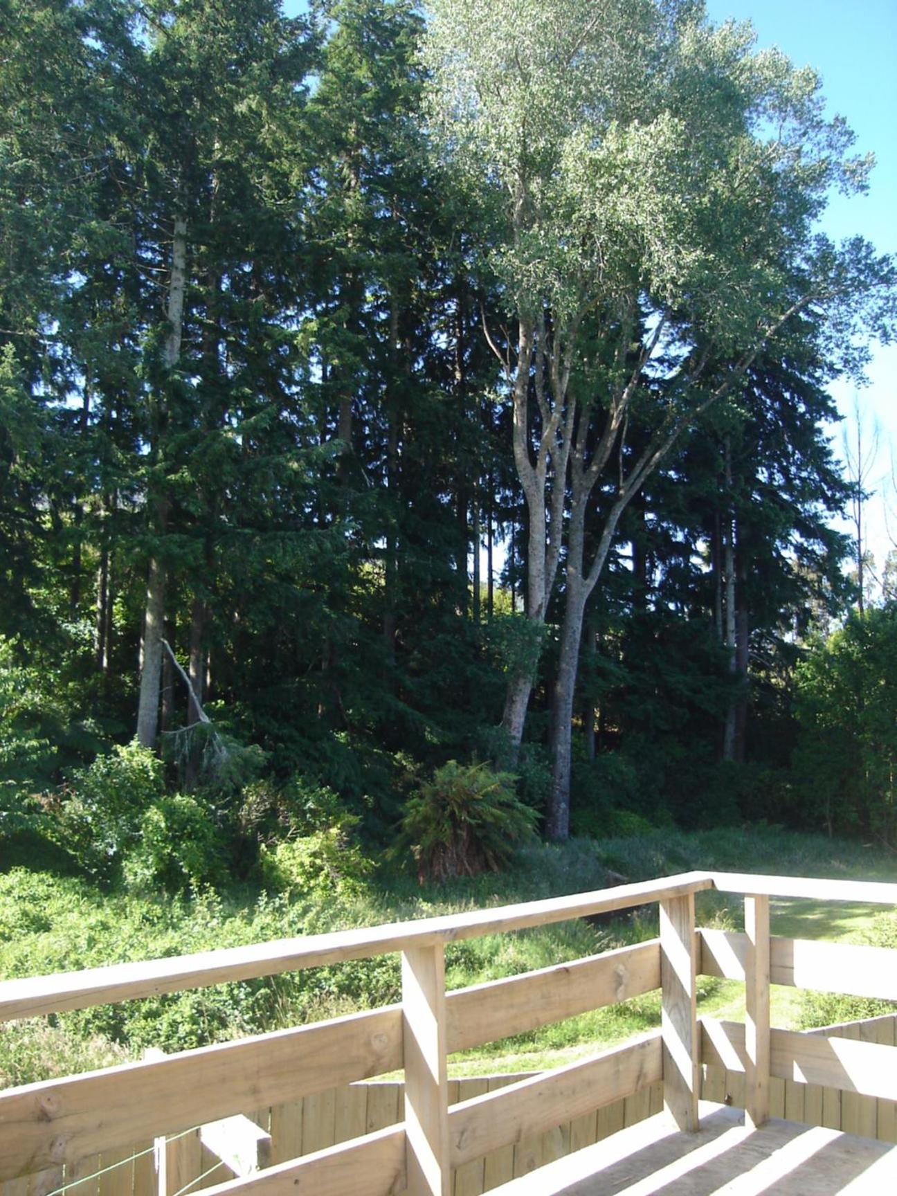 At the stream