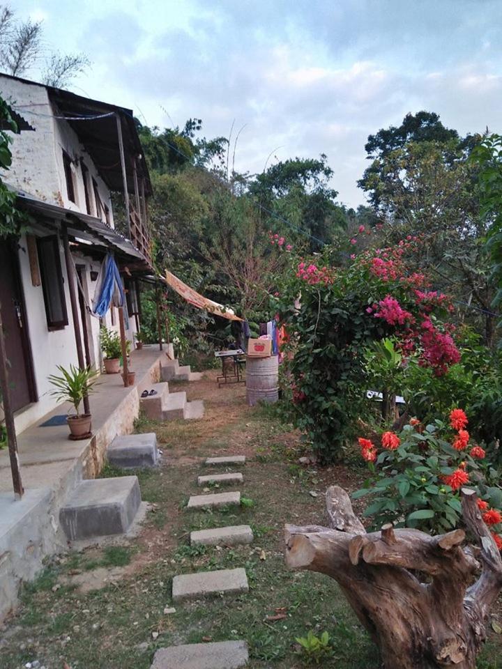 Photo 46