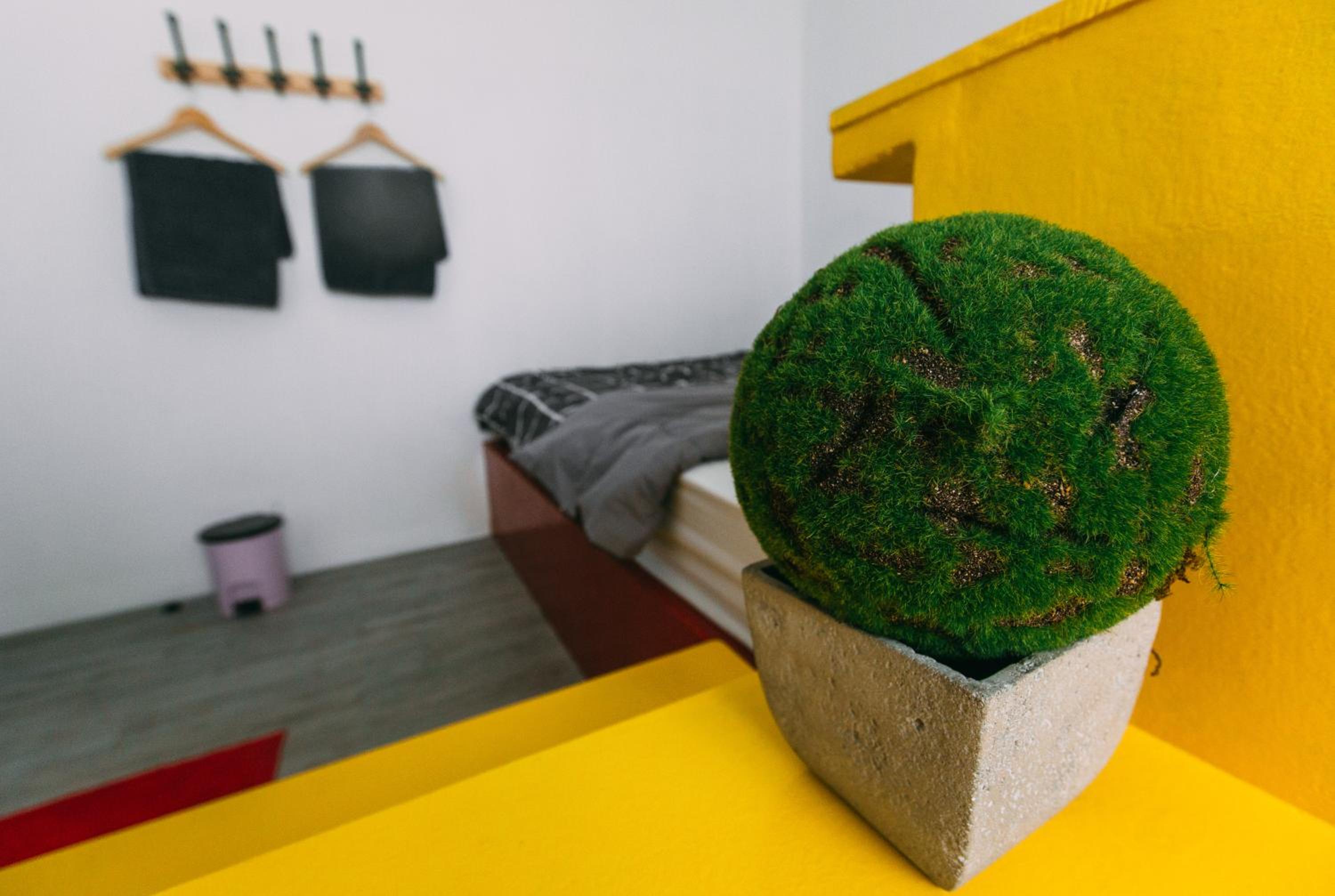 Aekkeko hostel
