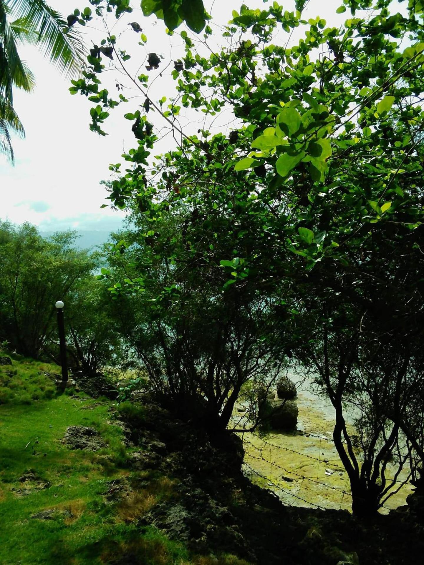 Photo 48
