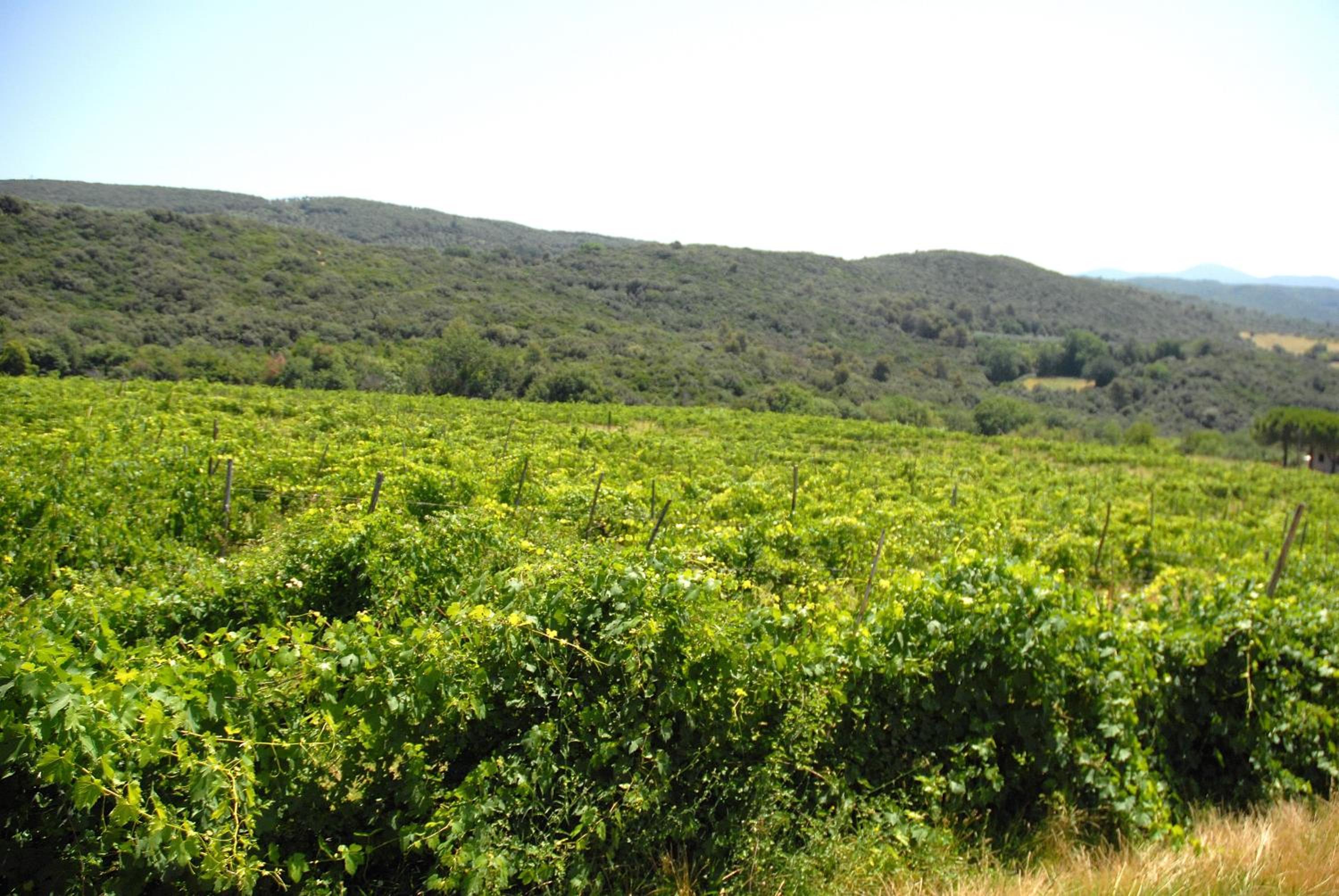 Podere San Giovanni