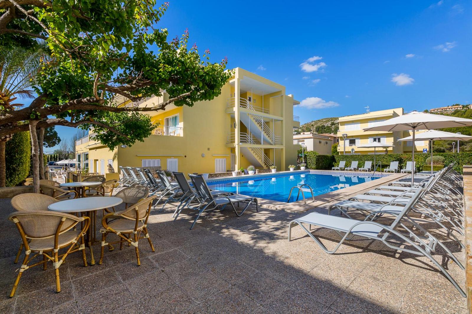 Apartamentos Don Miguel view 4