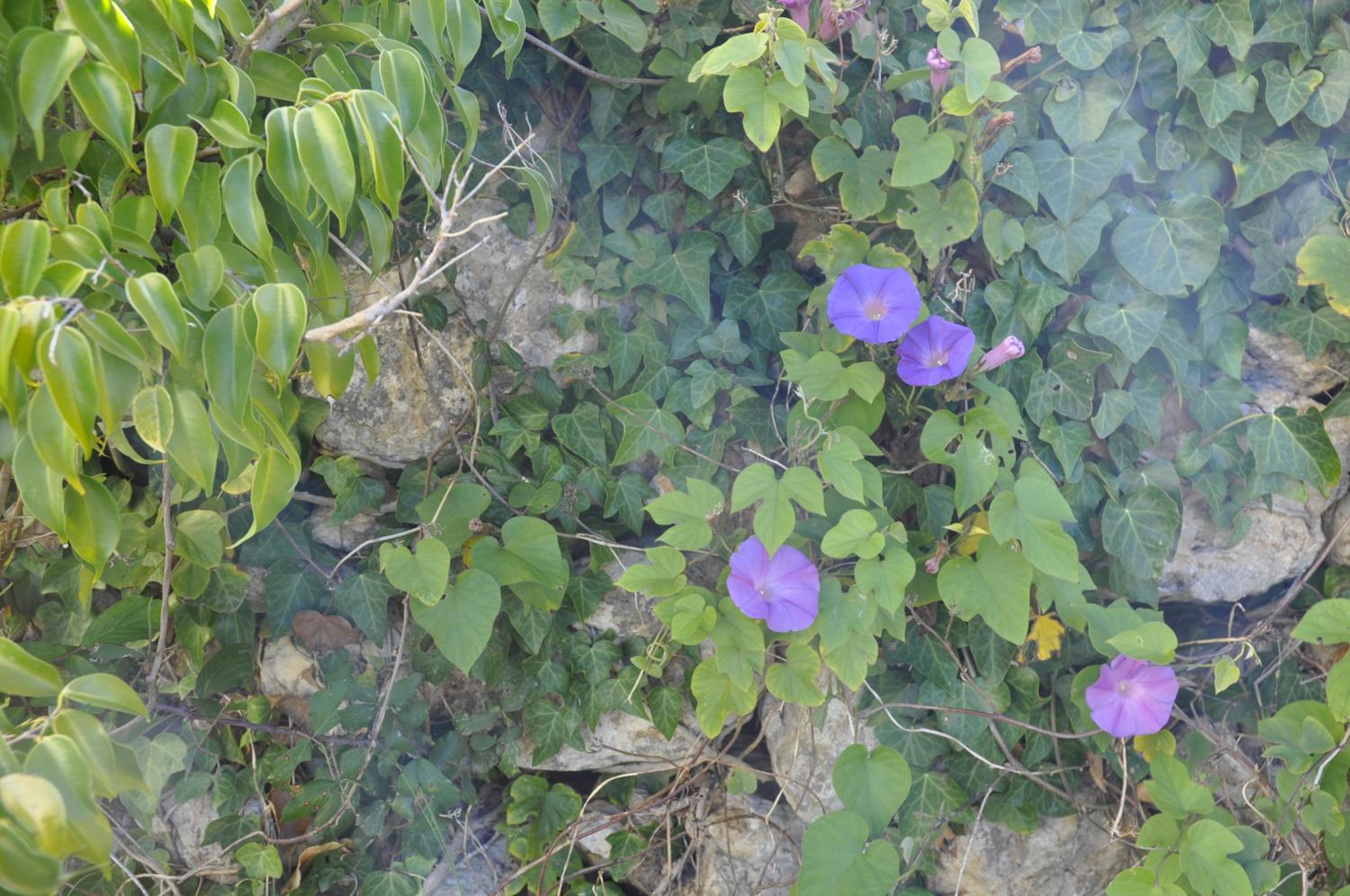 Photo 38