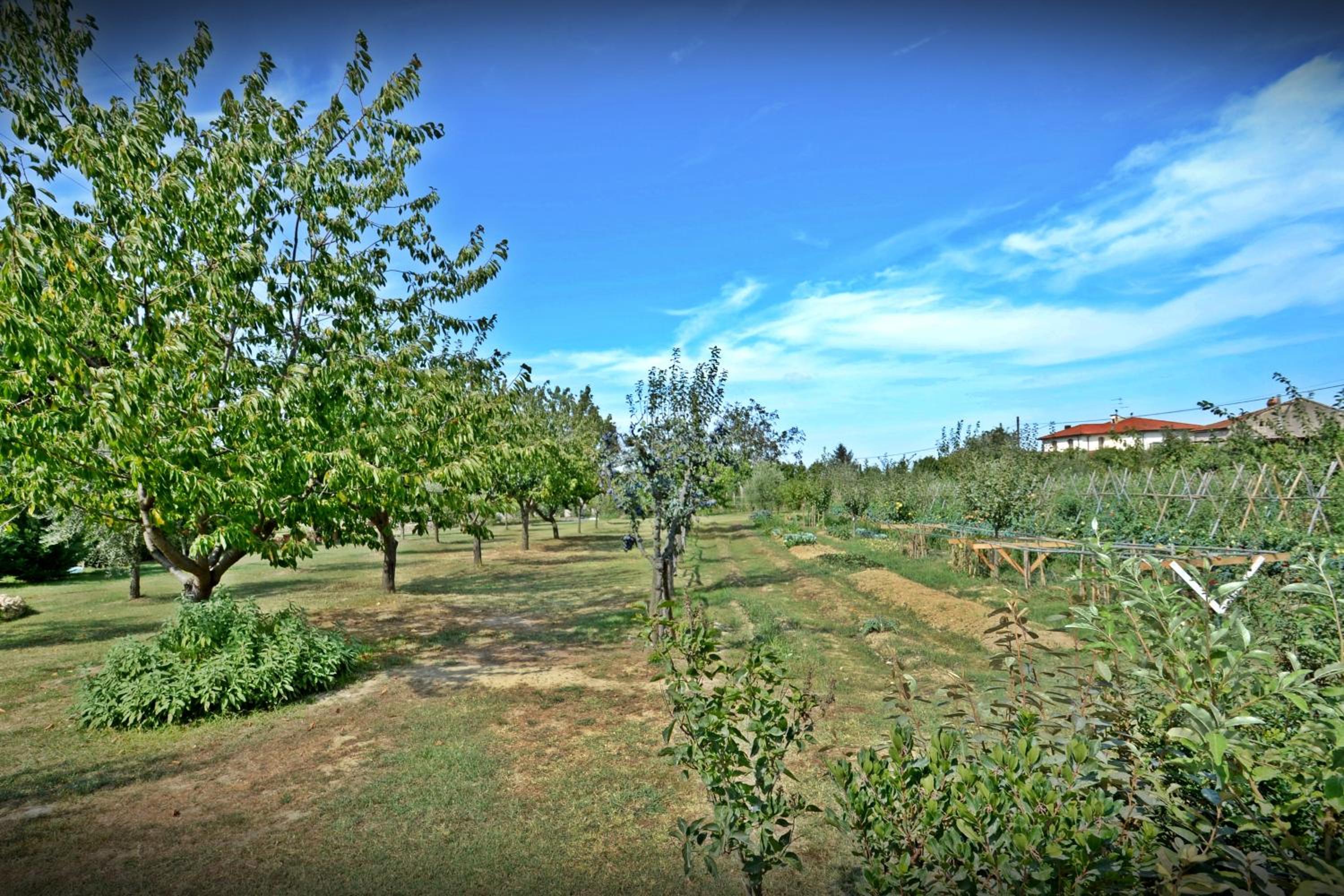 Cevoli Country Resort