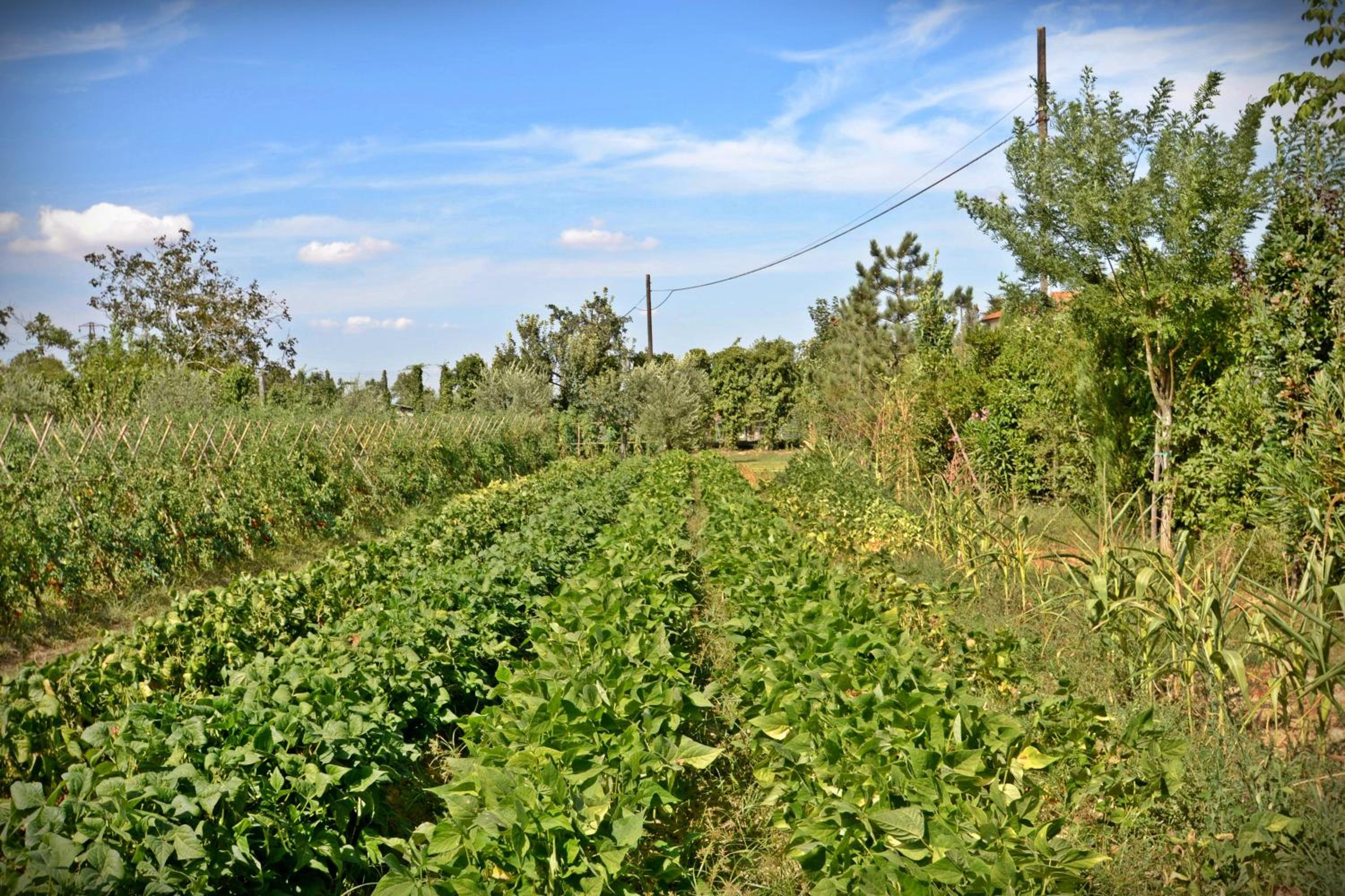 Cevoli Country Resort