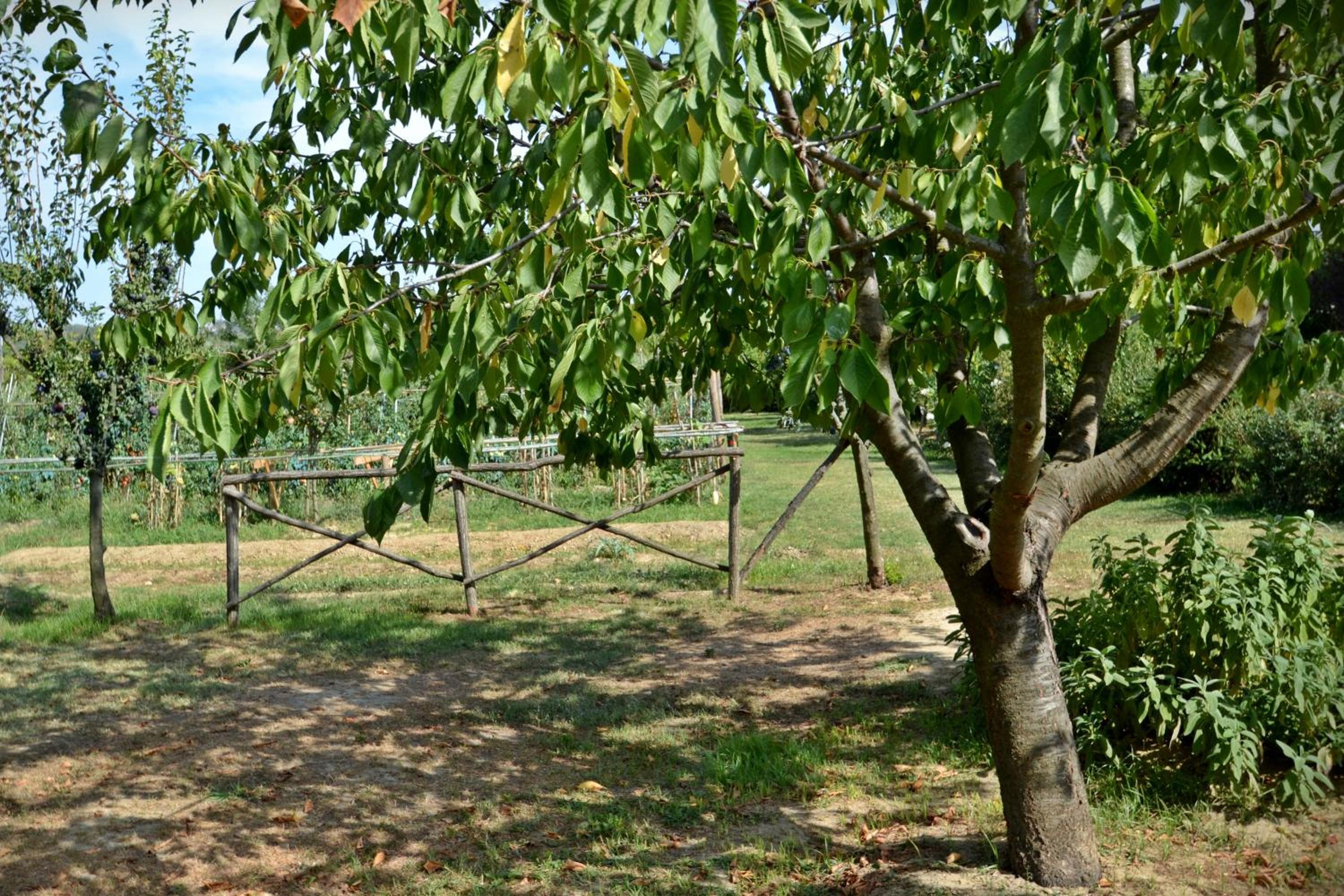 Cevoli Country Resort