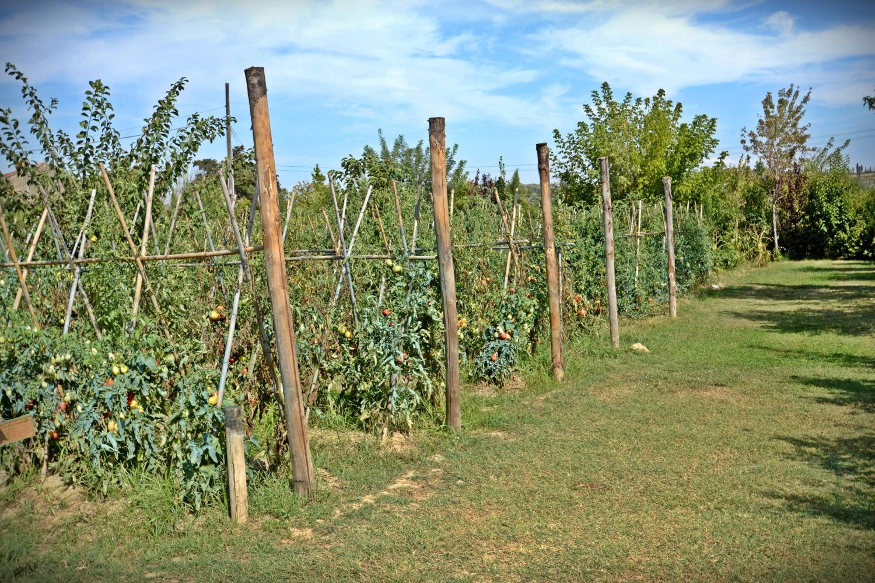Cevoli Country Resort