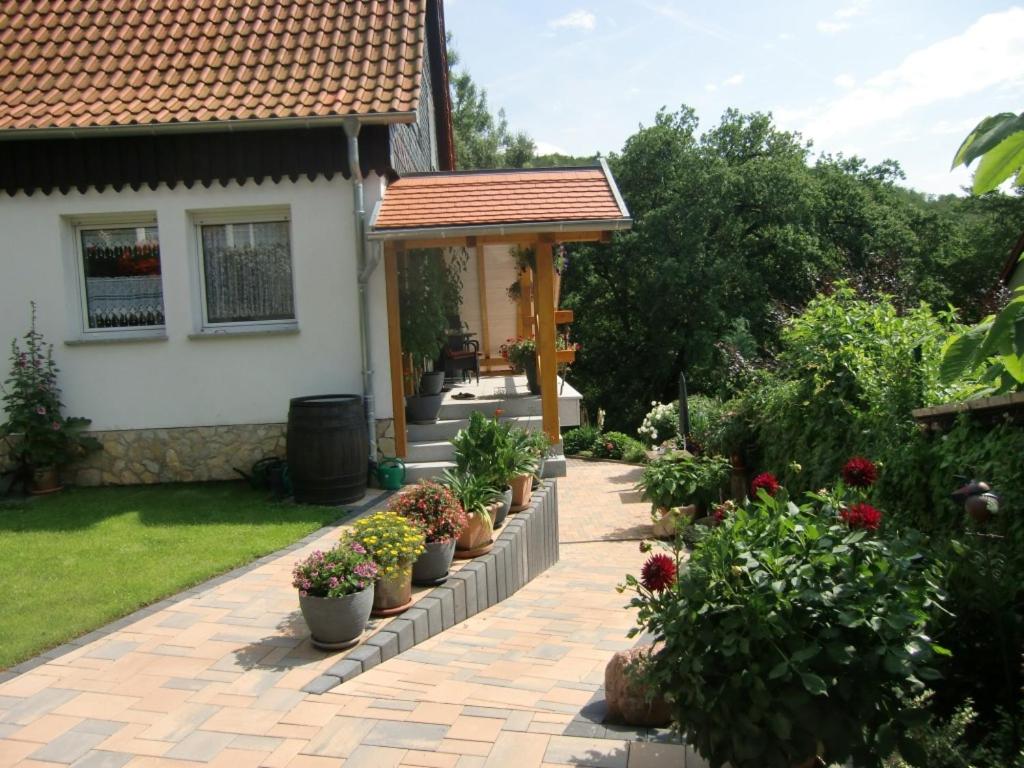 Photo 22