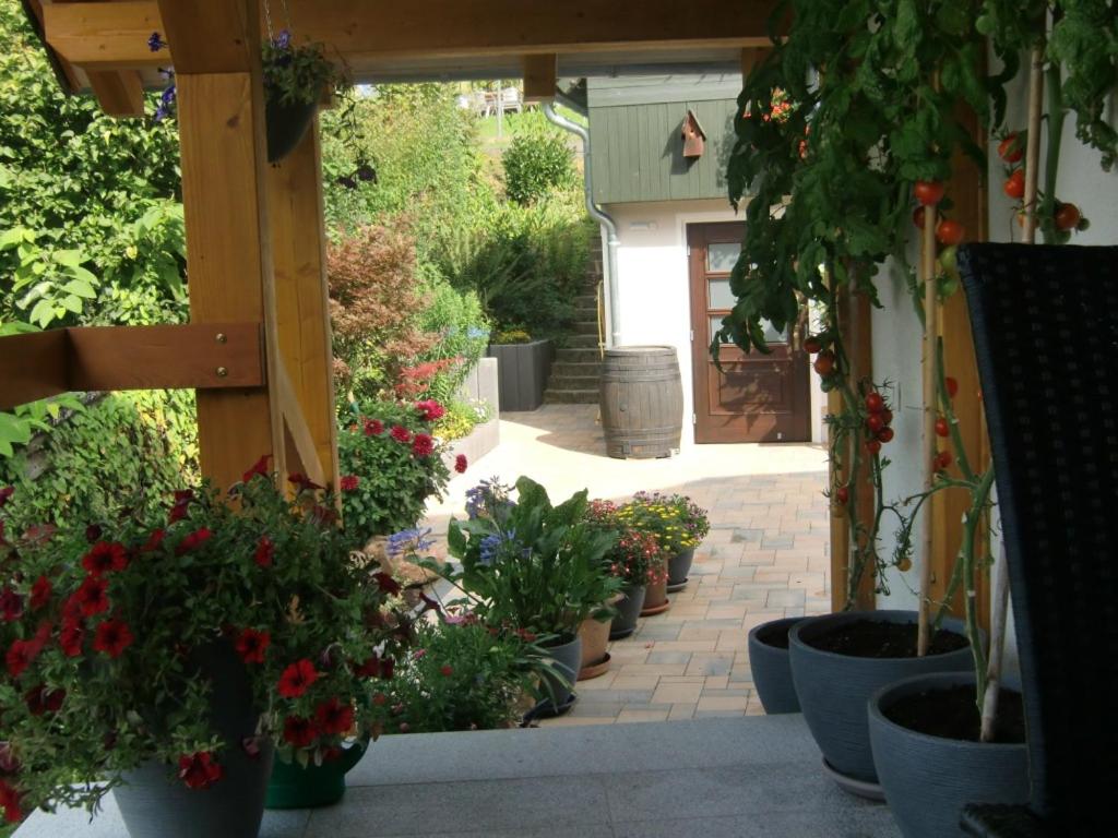 Photo 26