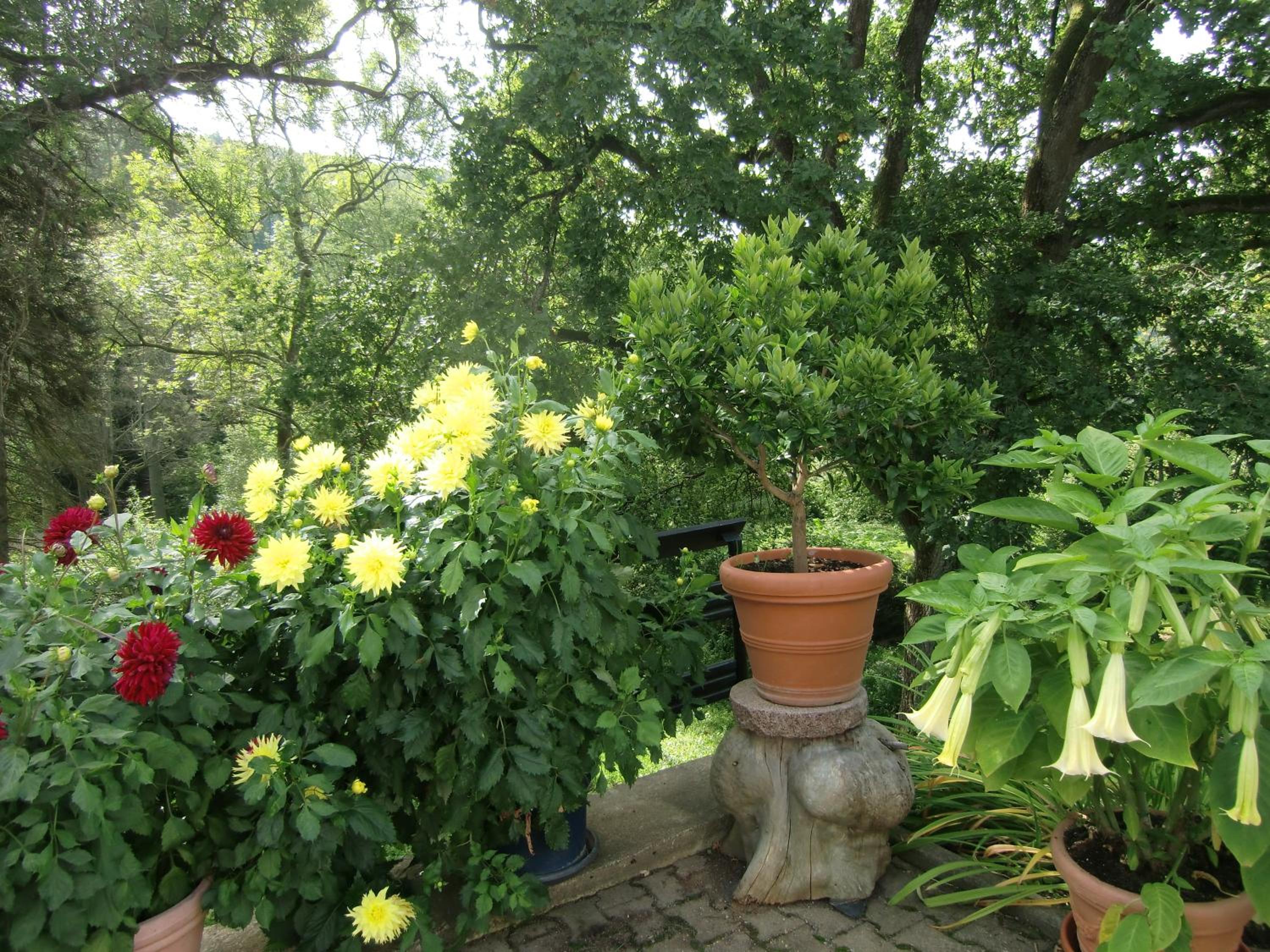 Photo 14