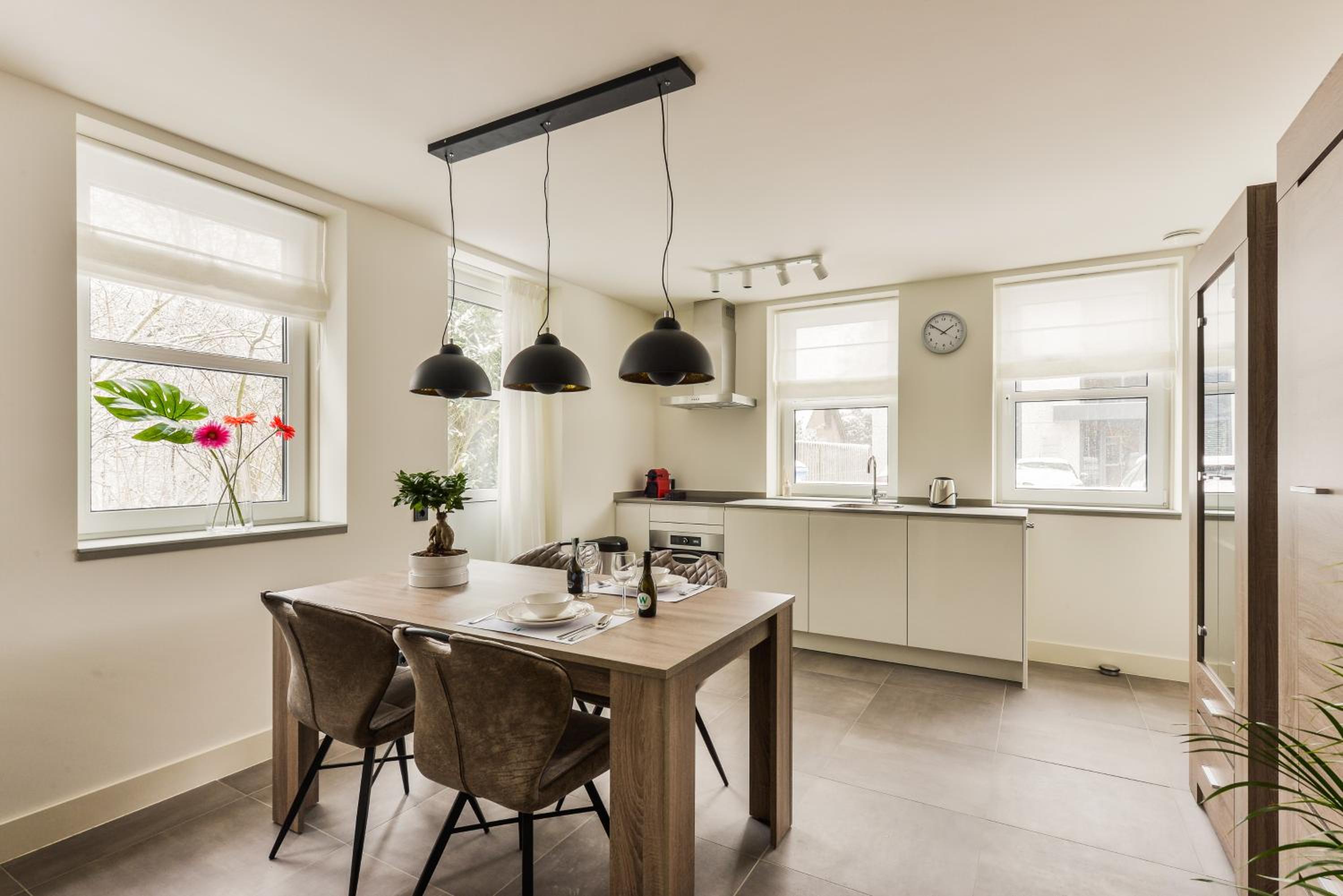 Luxury Family Residence Schinkeldijkje view 5