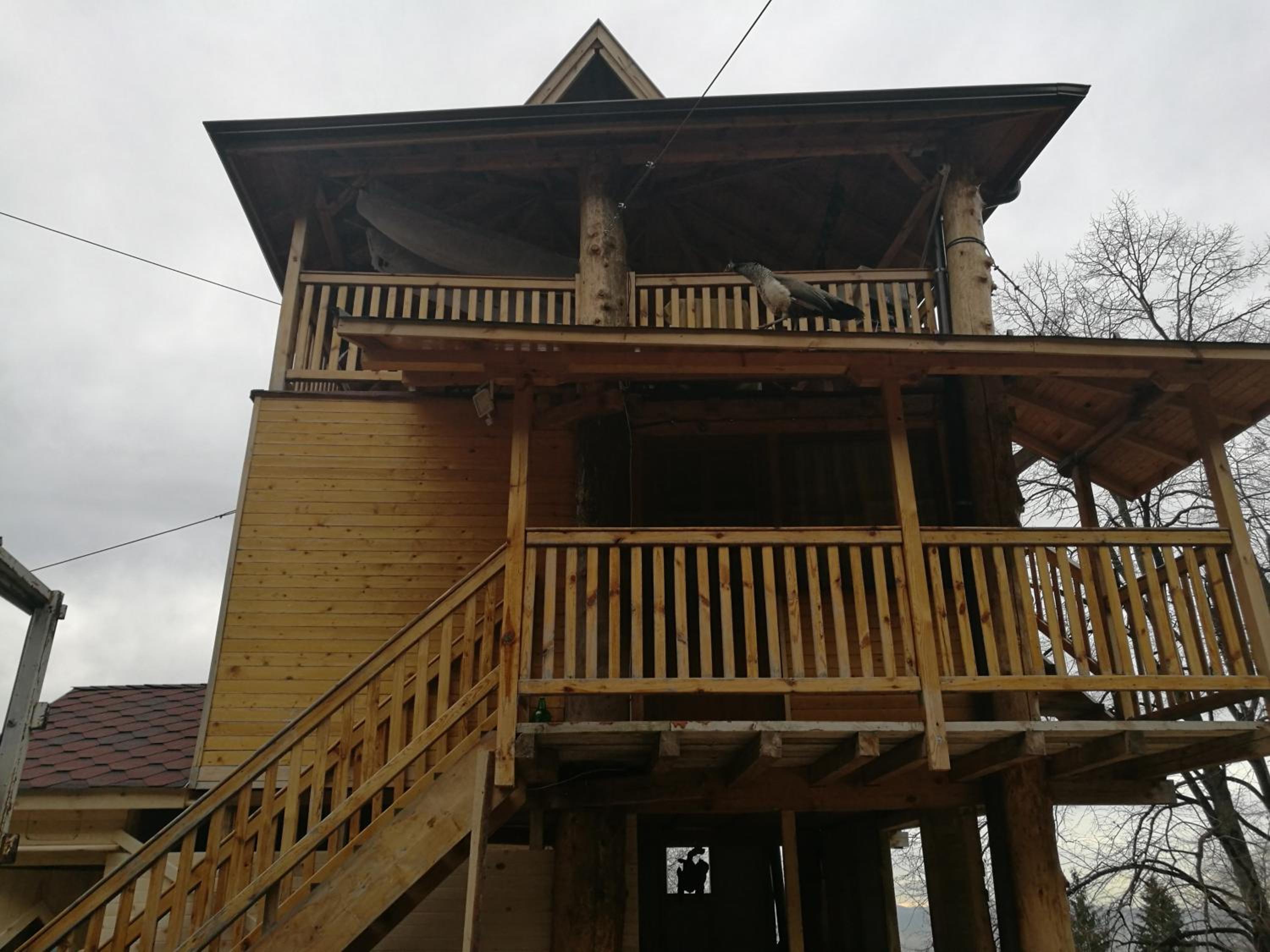 Photo 13