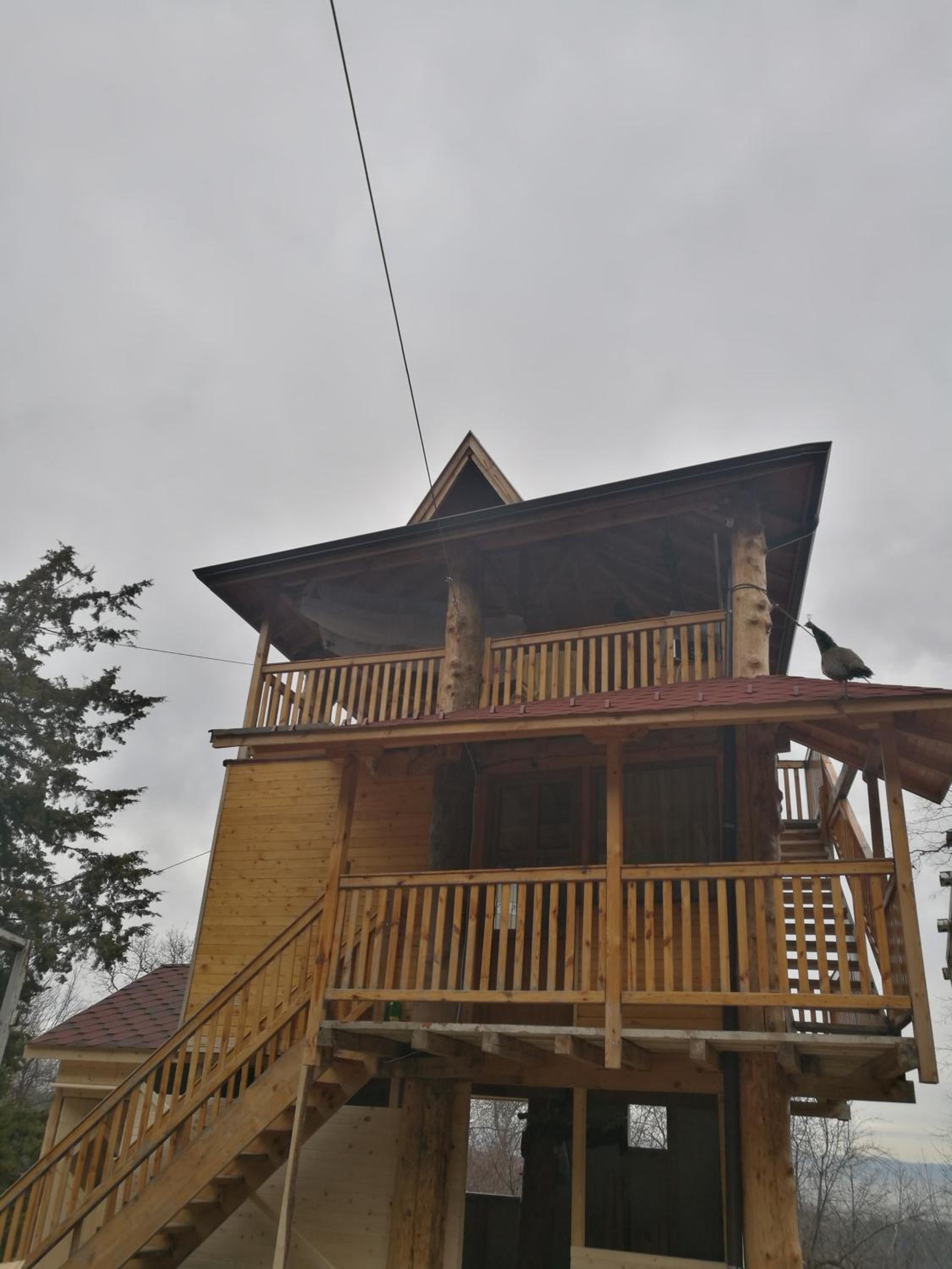Photo 17