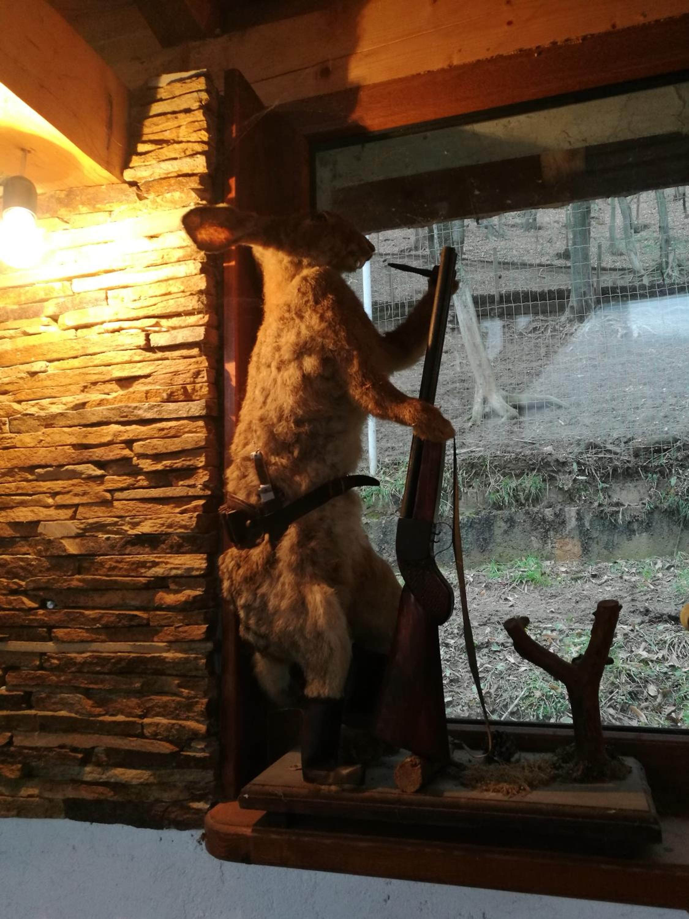 Photo 28