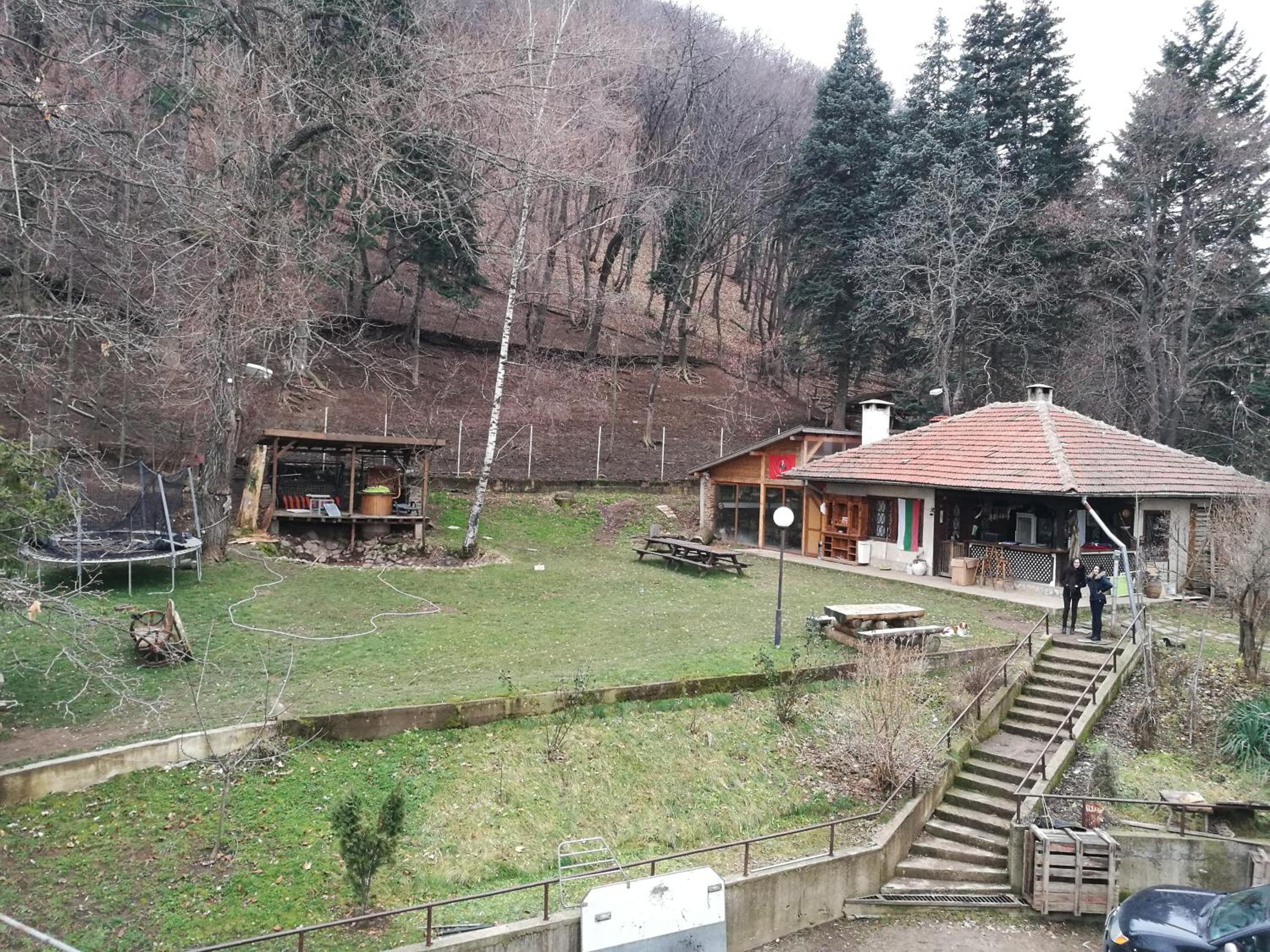 Photo 6