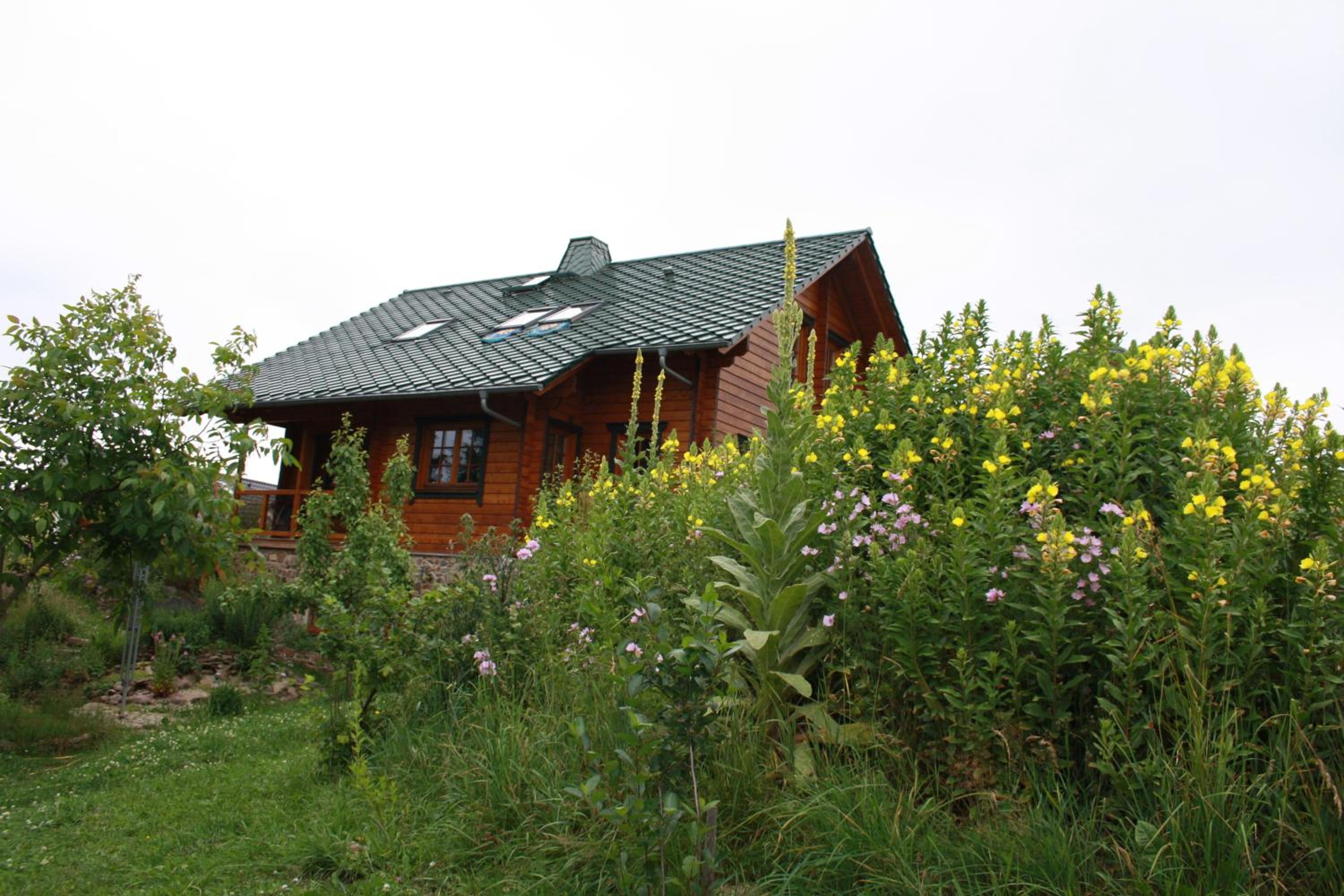 Photo 19