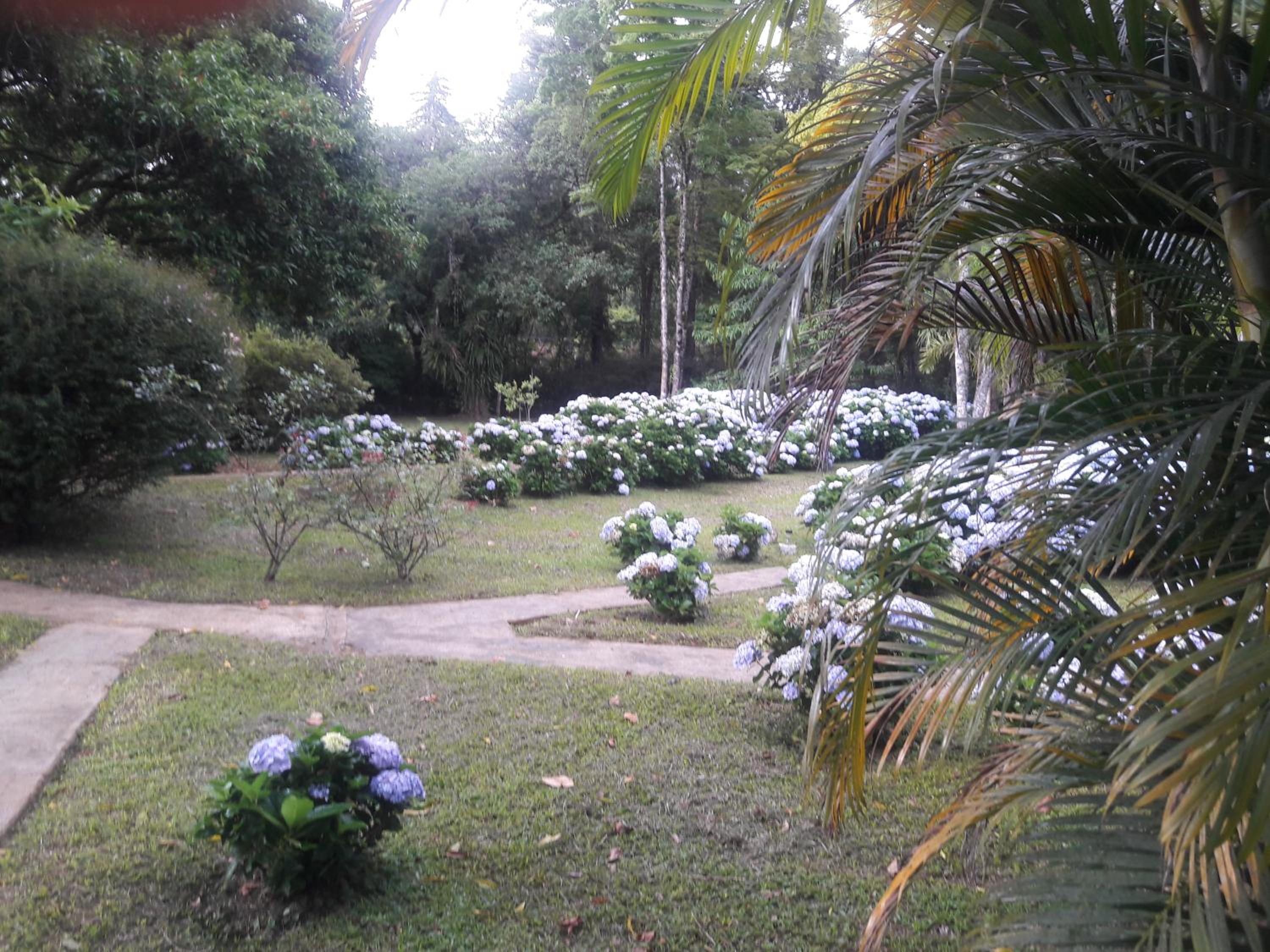 Pousada Recanto do Pinheirão view 5