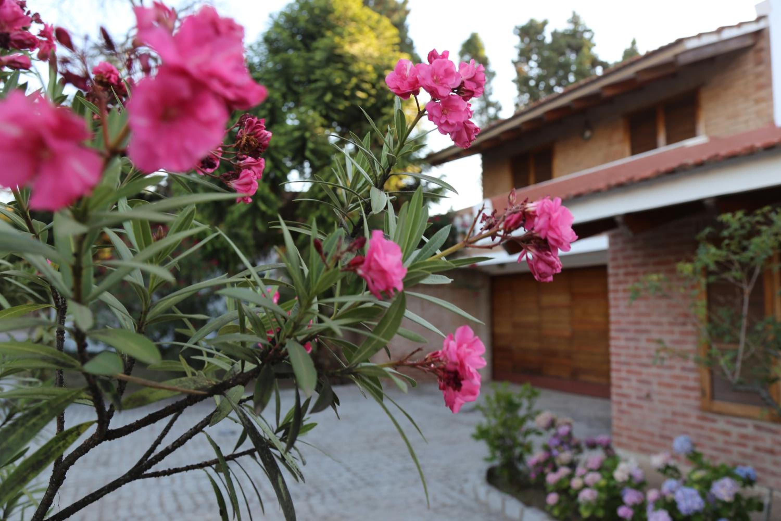 Espectacular casa