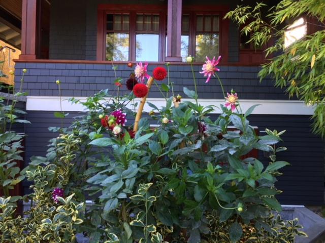 Beautiful, Quiet 3BR in Posh Kitsilano view 4